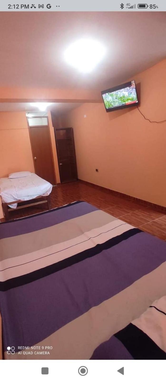 Twin Room photo 1