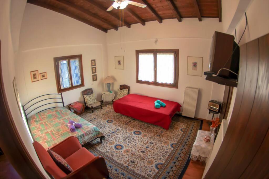 Villa - Photo 5