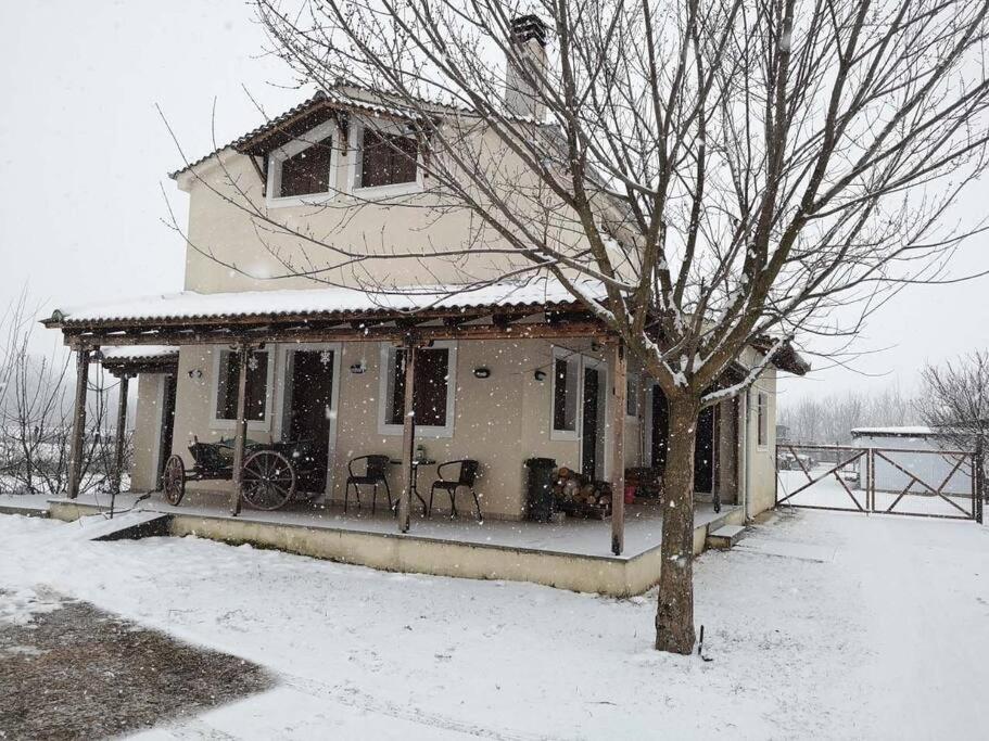 Villa - Photo 24
