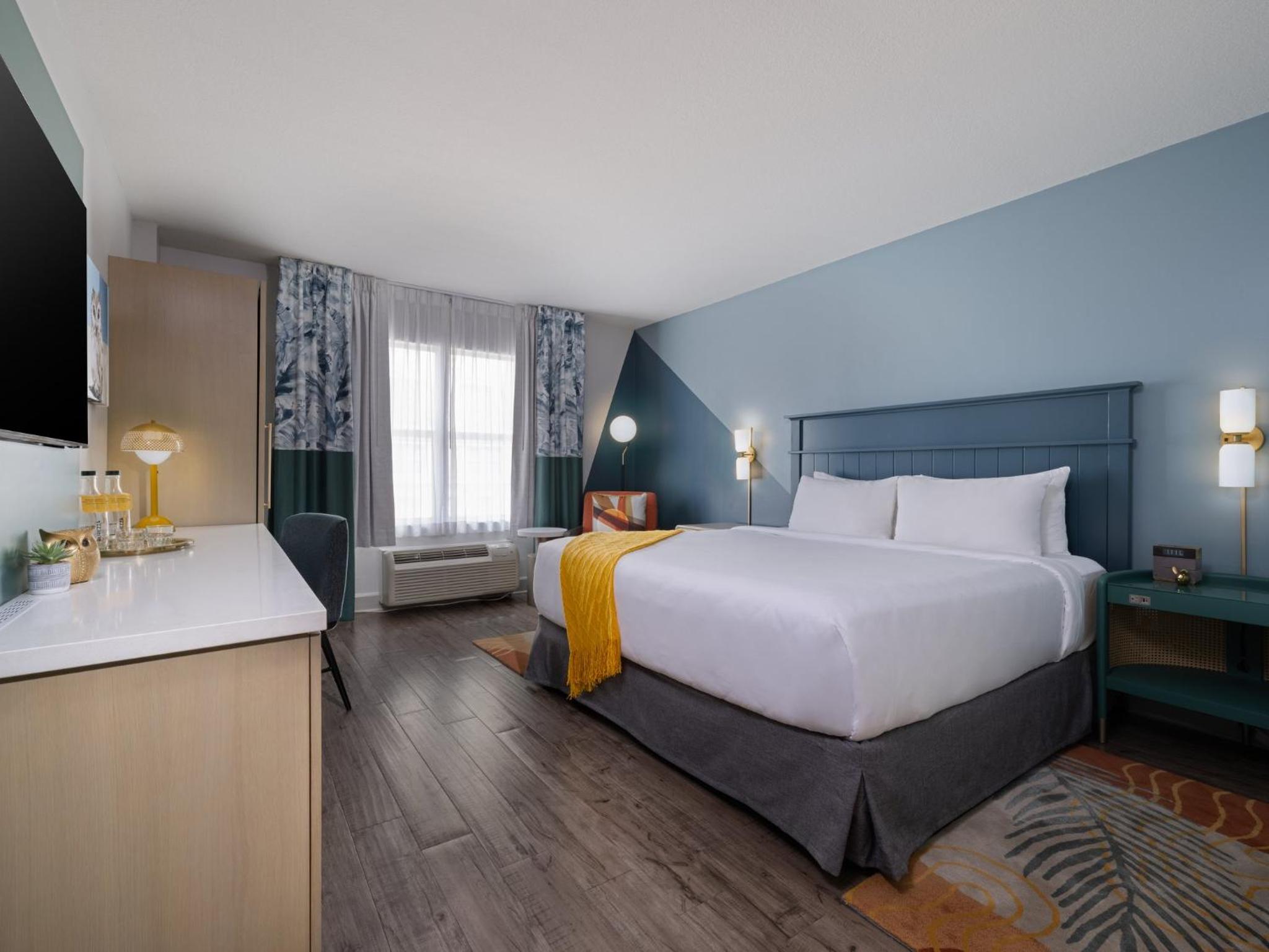 Junior King Suite - Photo 1