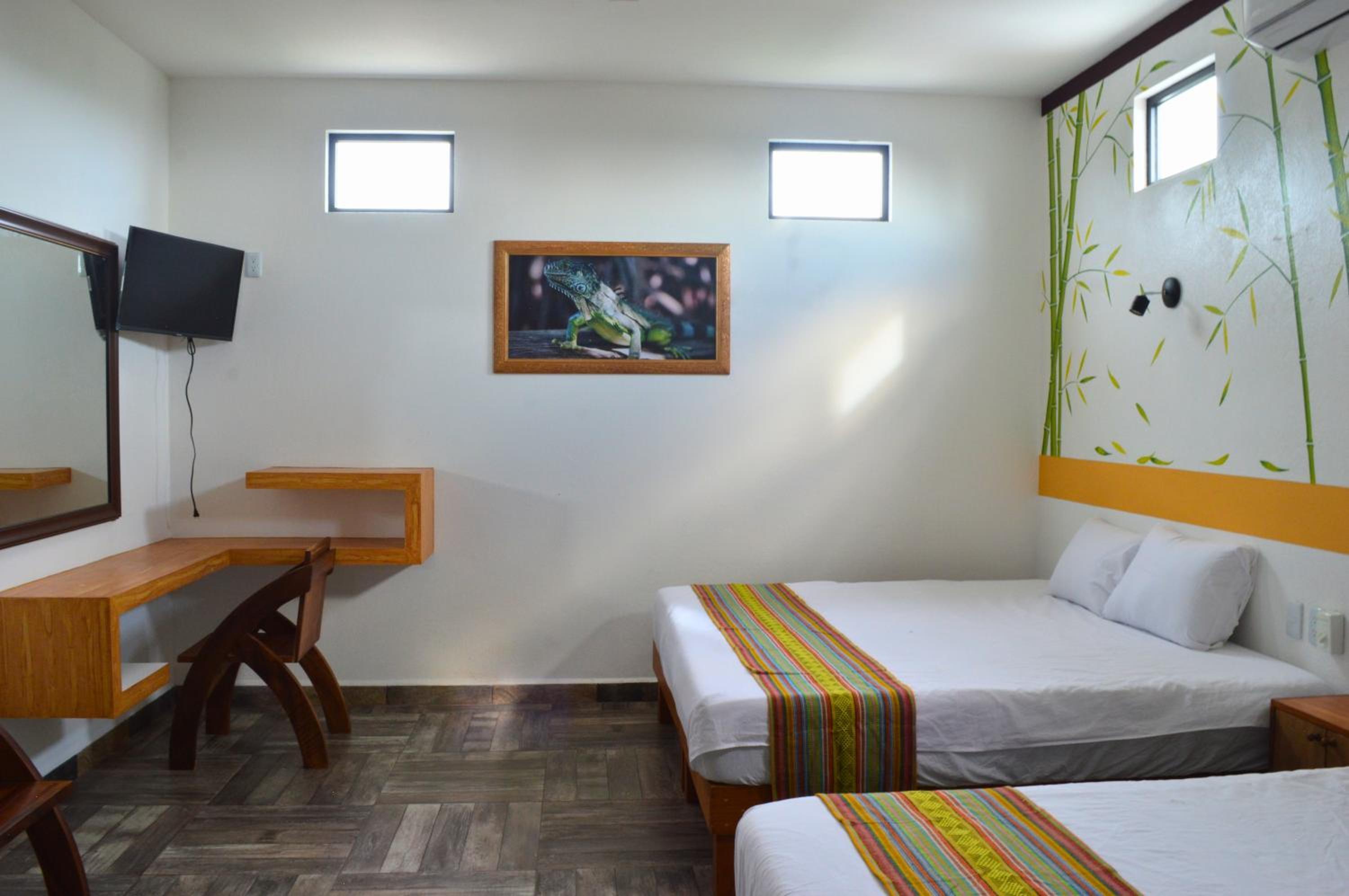 Twin Room - Photo 11
