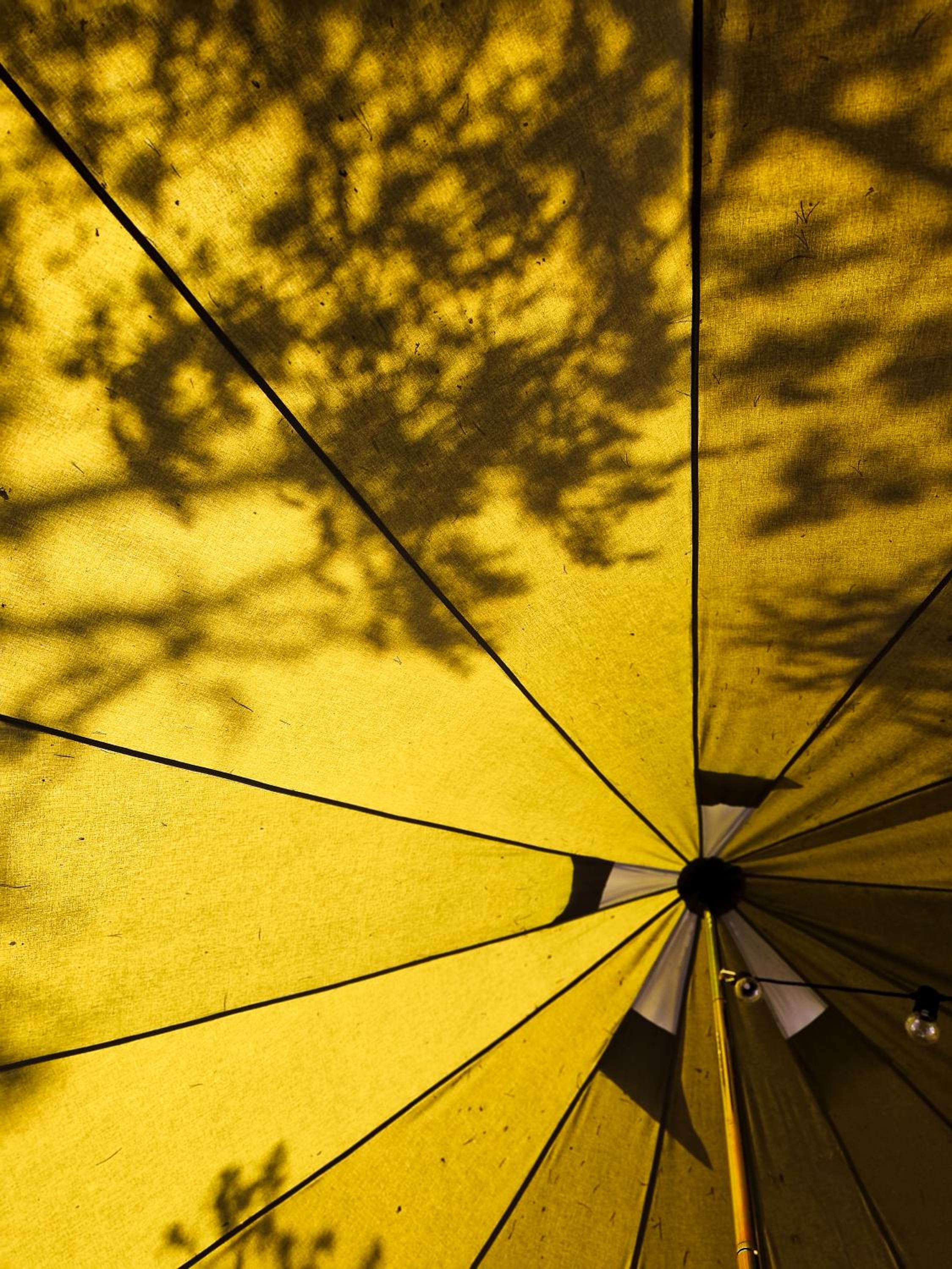 Tent - Photo 19