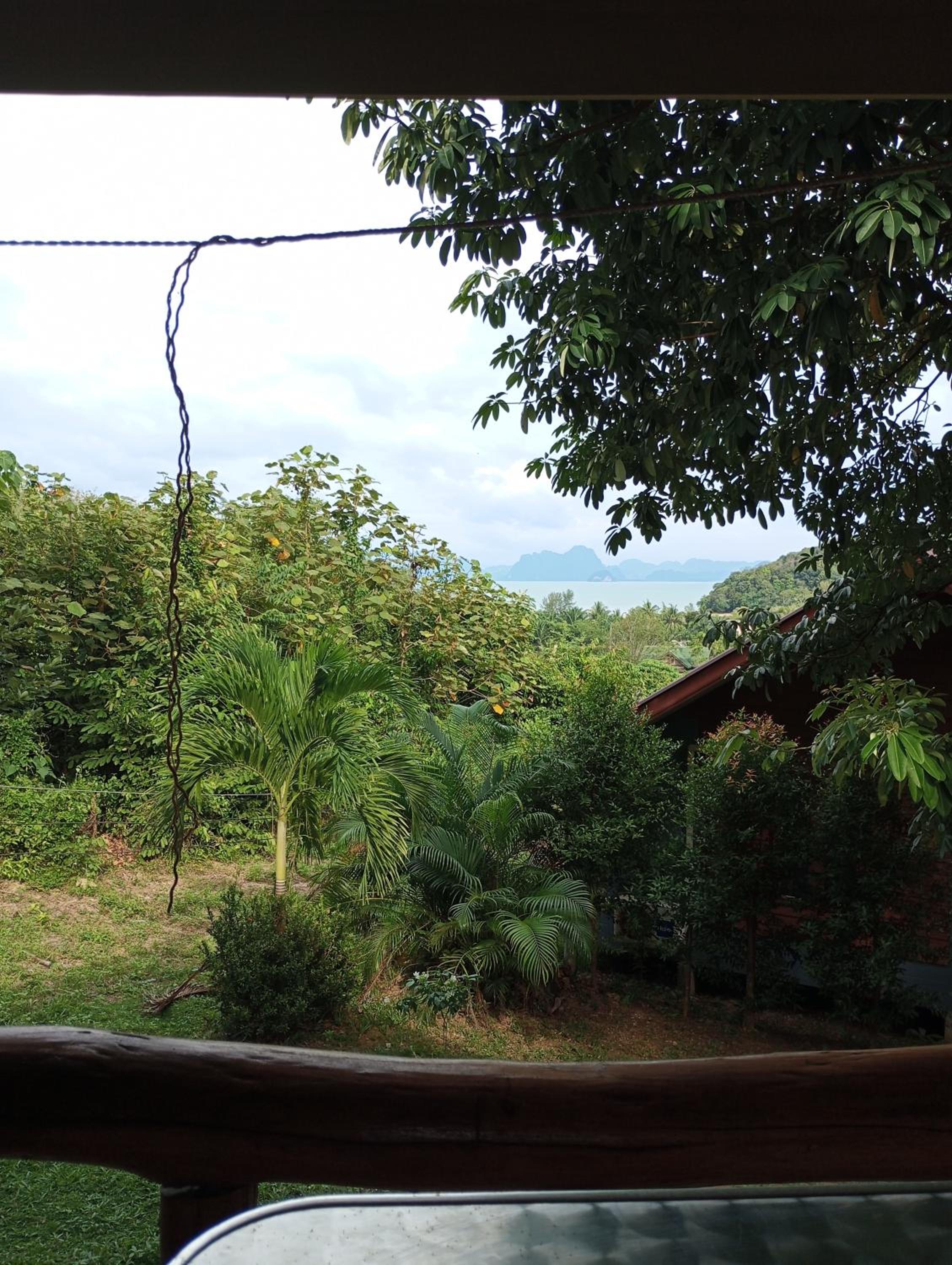 Superior Villa photo 2