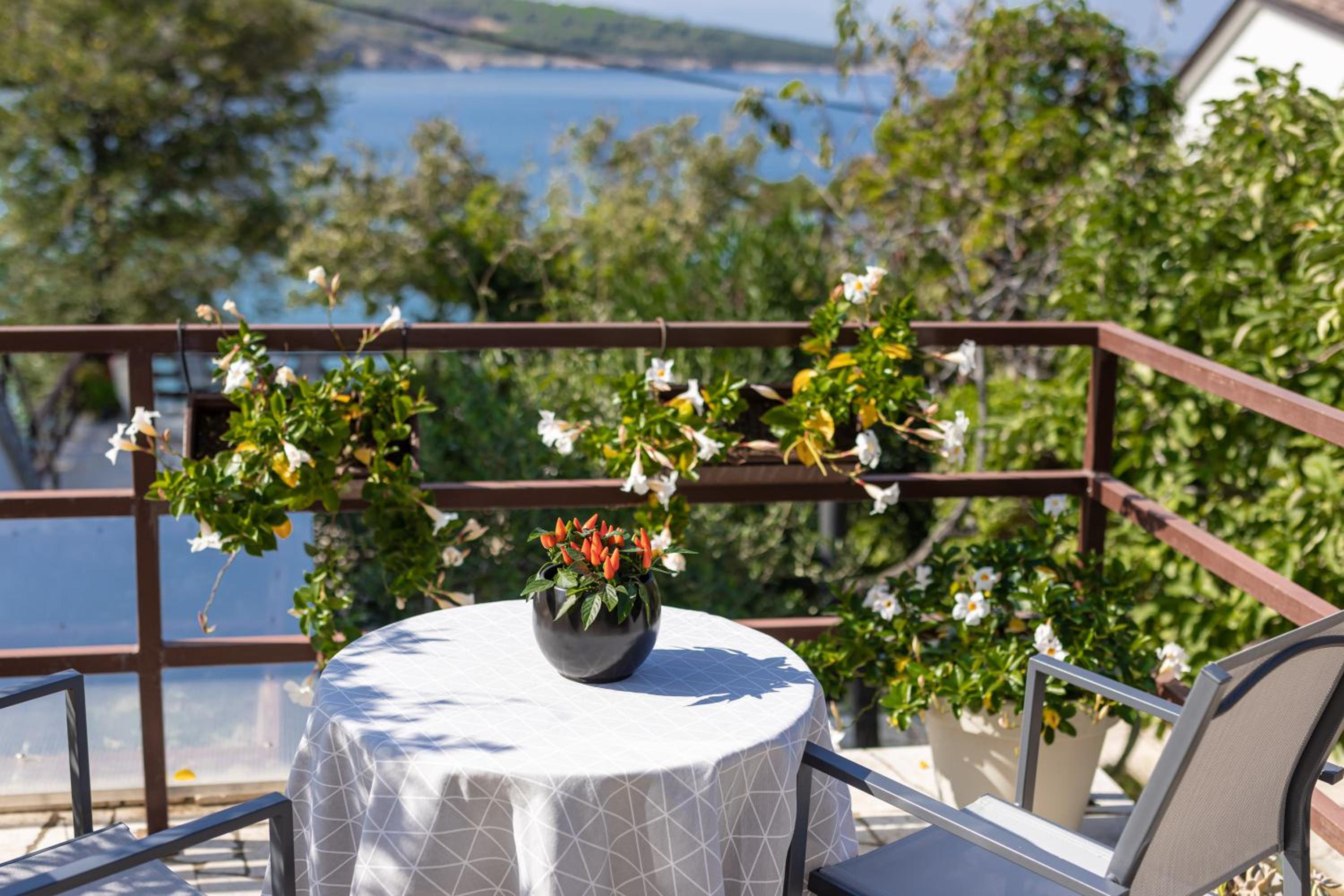 Apartment with Terrace photo 2