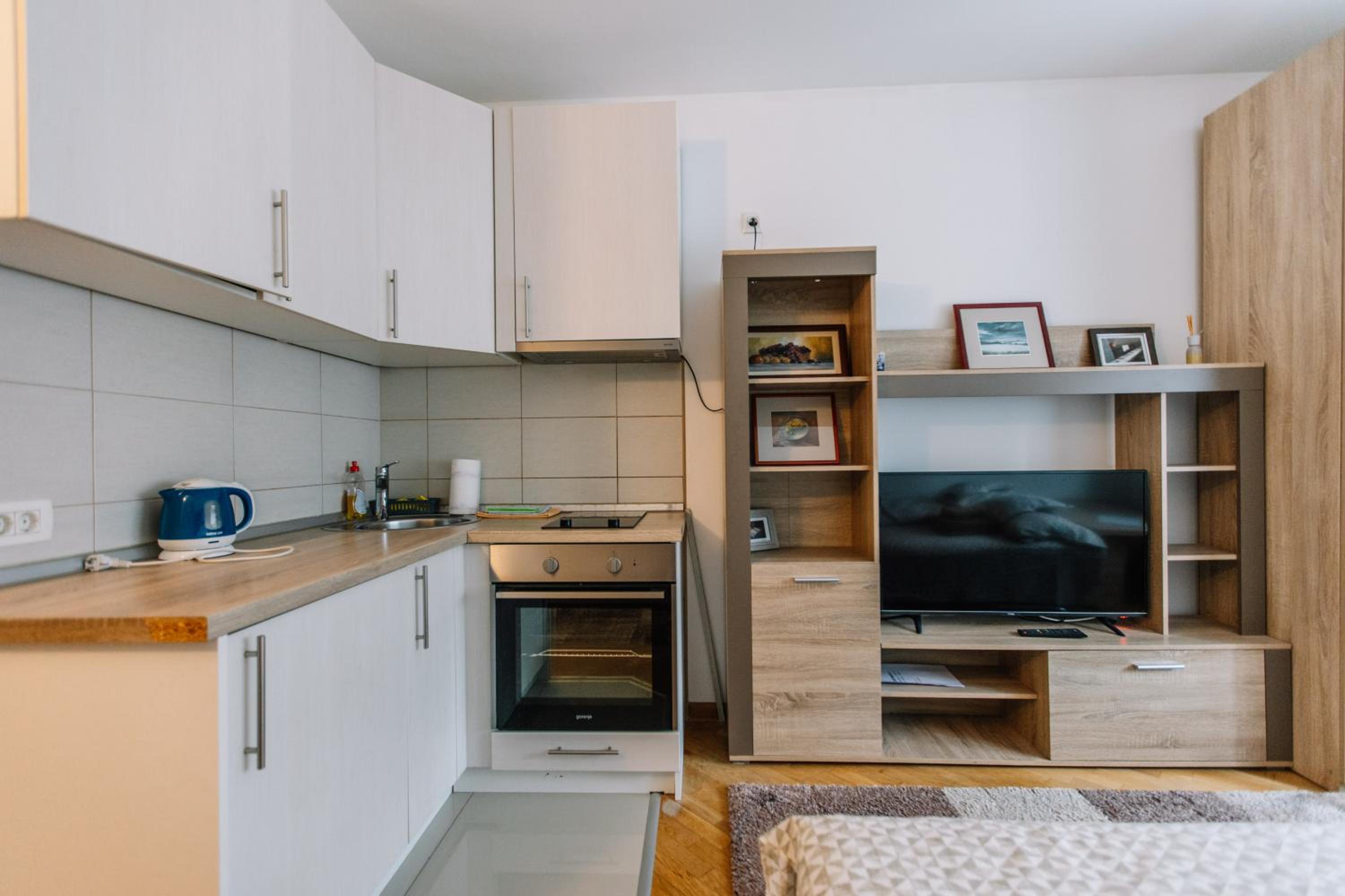 One-Bedroom Apartment photo 2