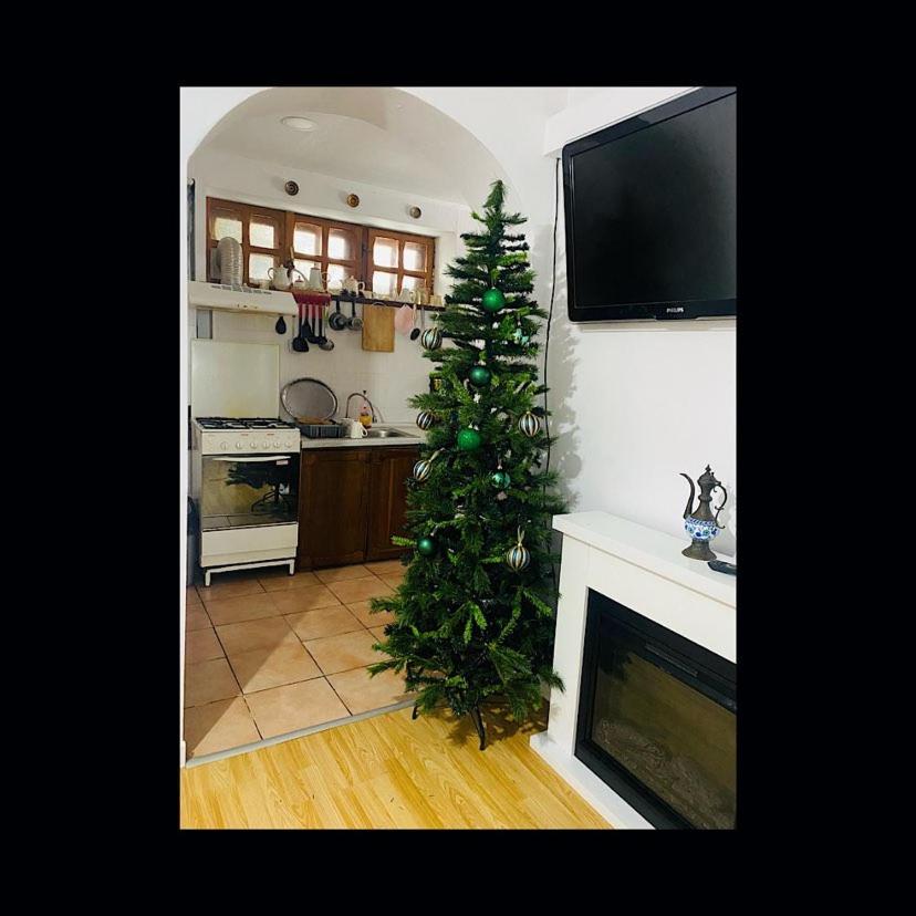 Apartment - Photo 19