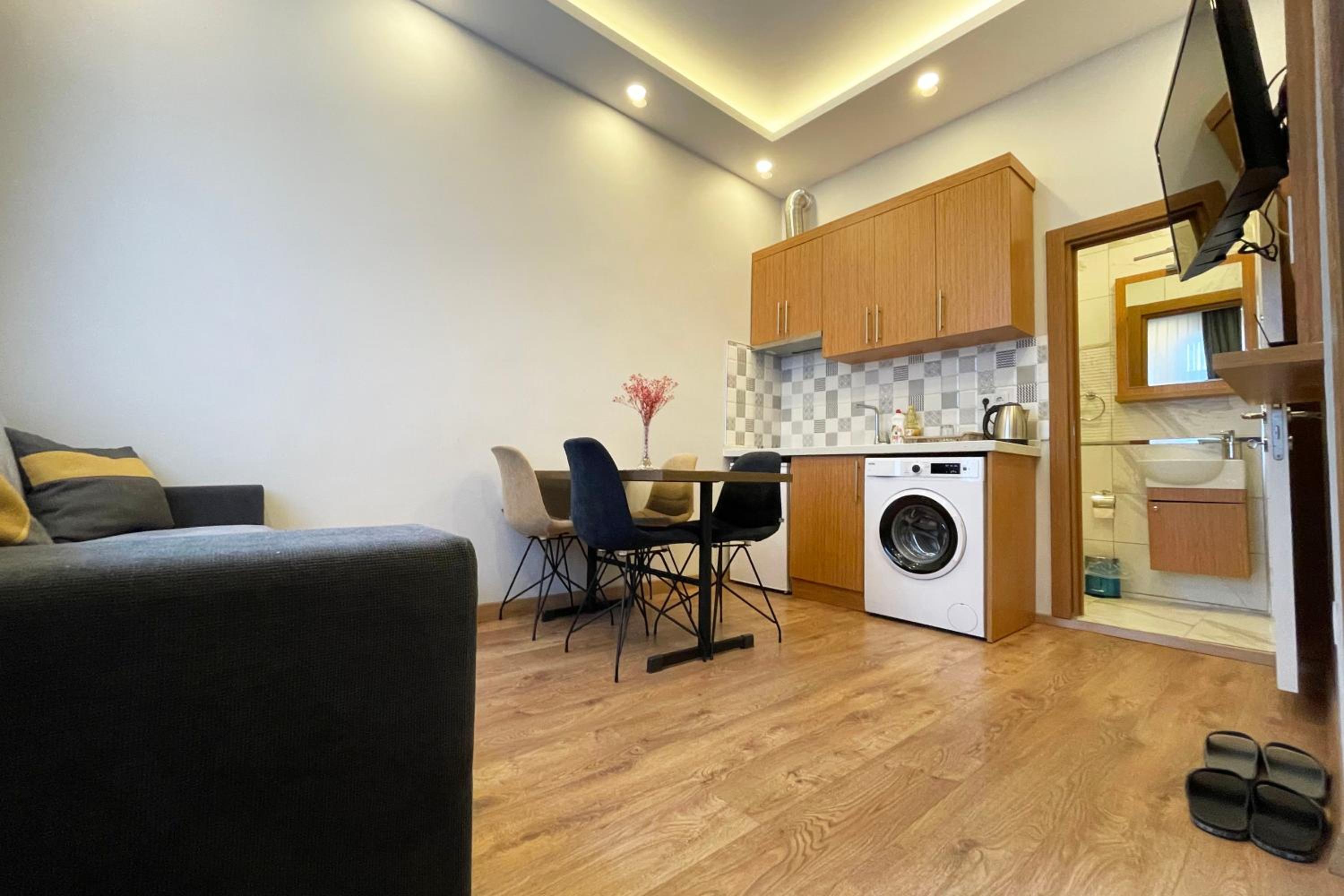 One-Bedroom Apartment photo 3