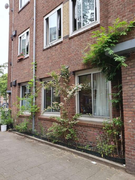 Two-Bedroom Apartment with Terrace photo 2