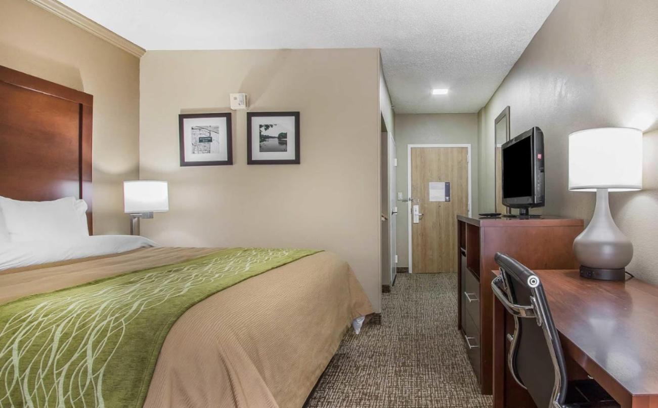 King Room - Photo 4