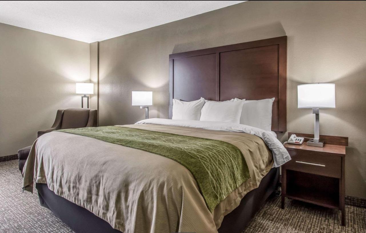 King Room - Photo 3