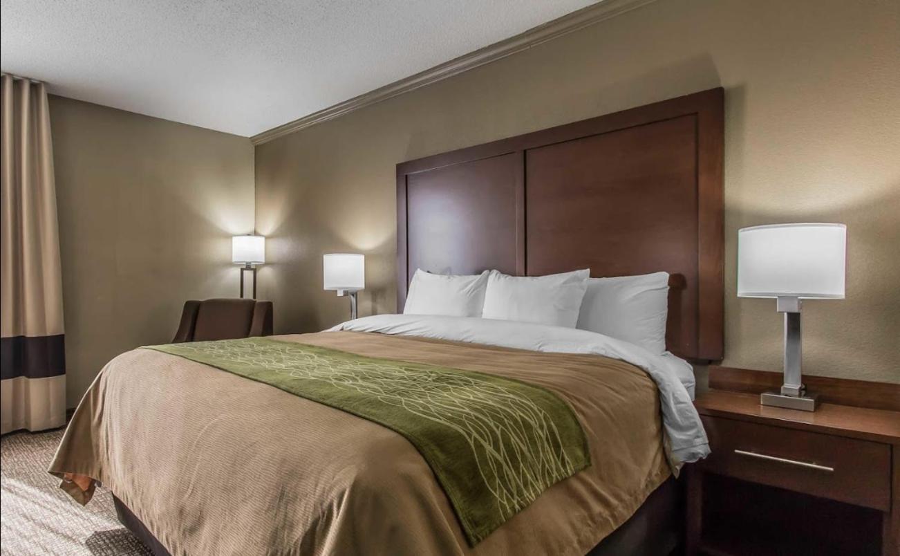 King Room - Photo 1