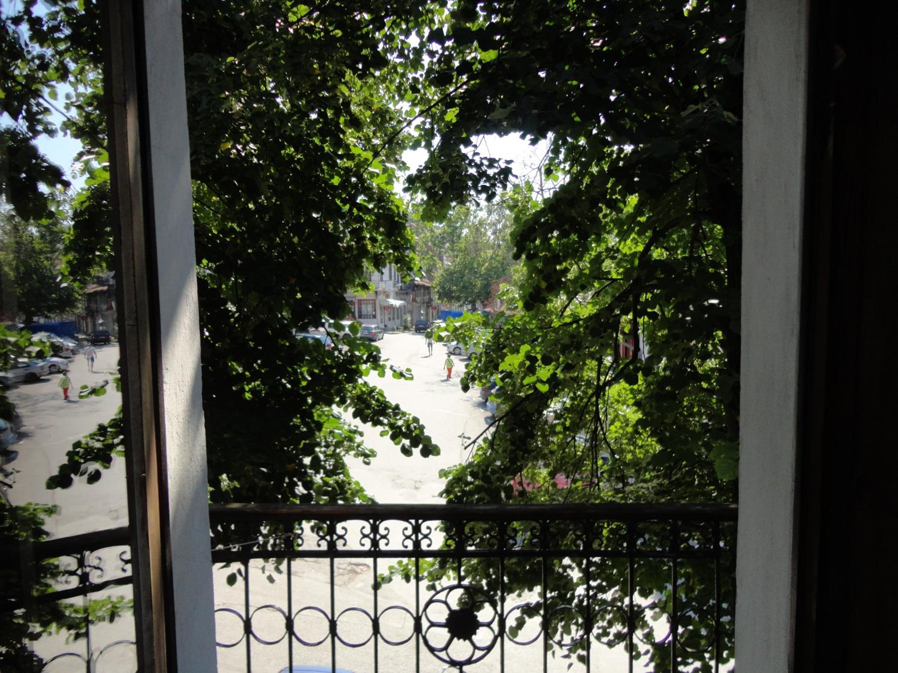 Studio with Terrace photo 2