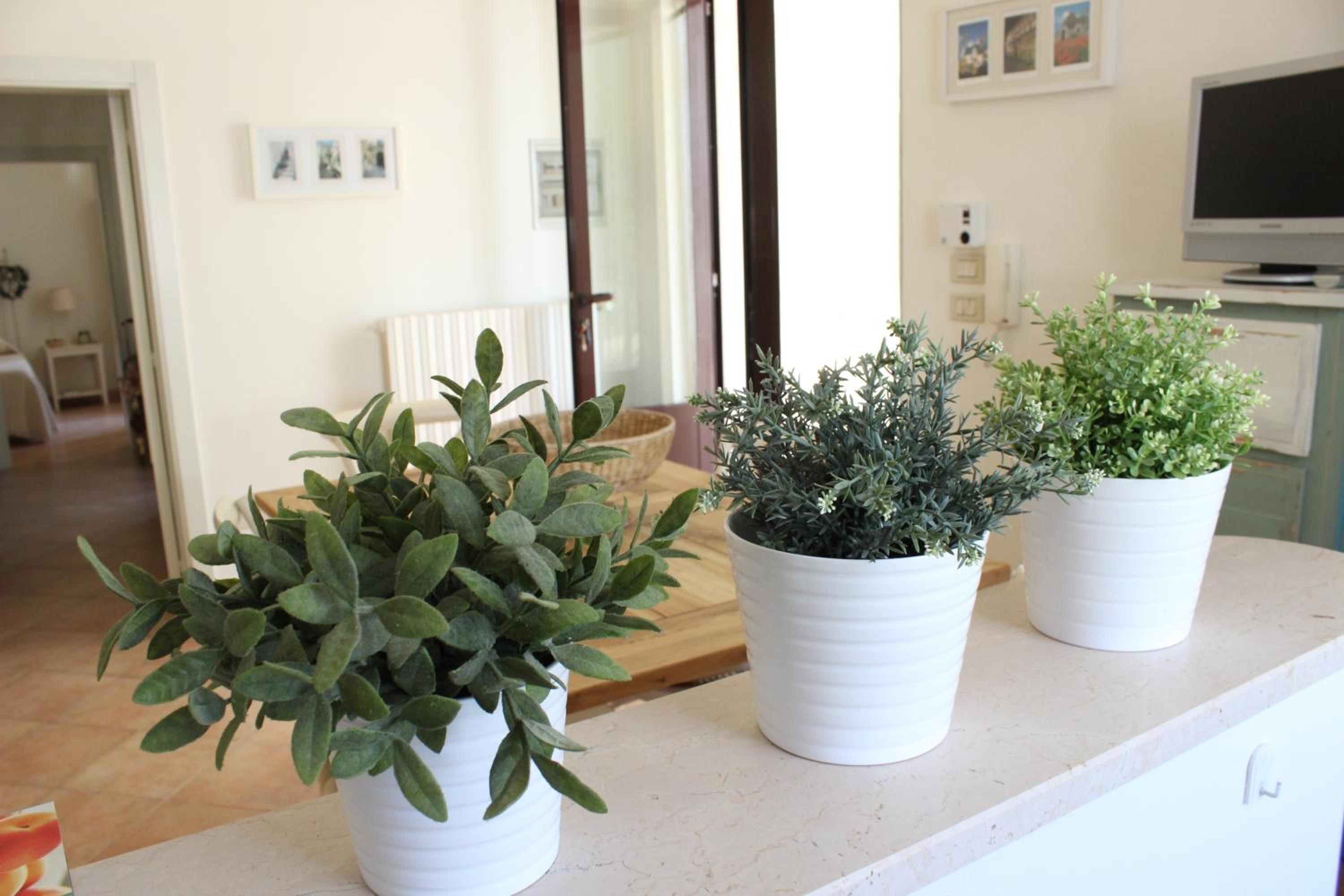 Two-Bedroom House - Photo 4