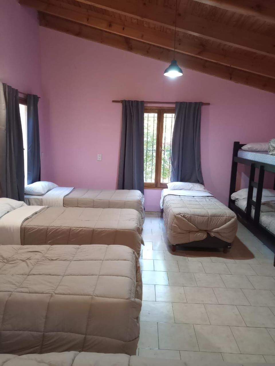 Single Bed In Mixed Dormitory Room photo 1