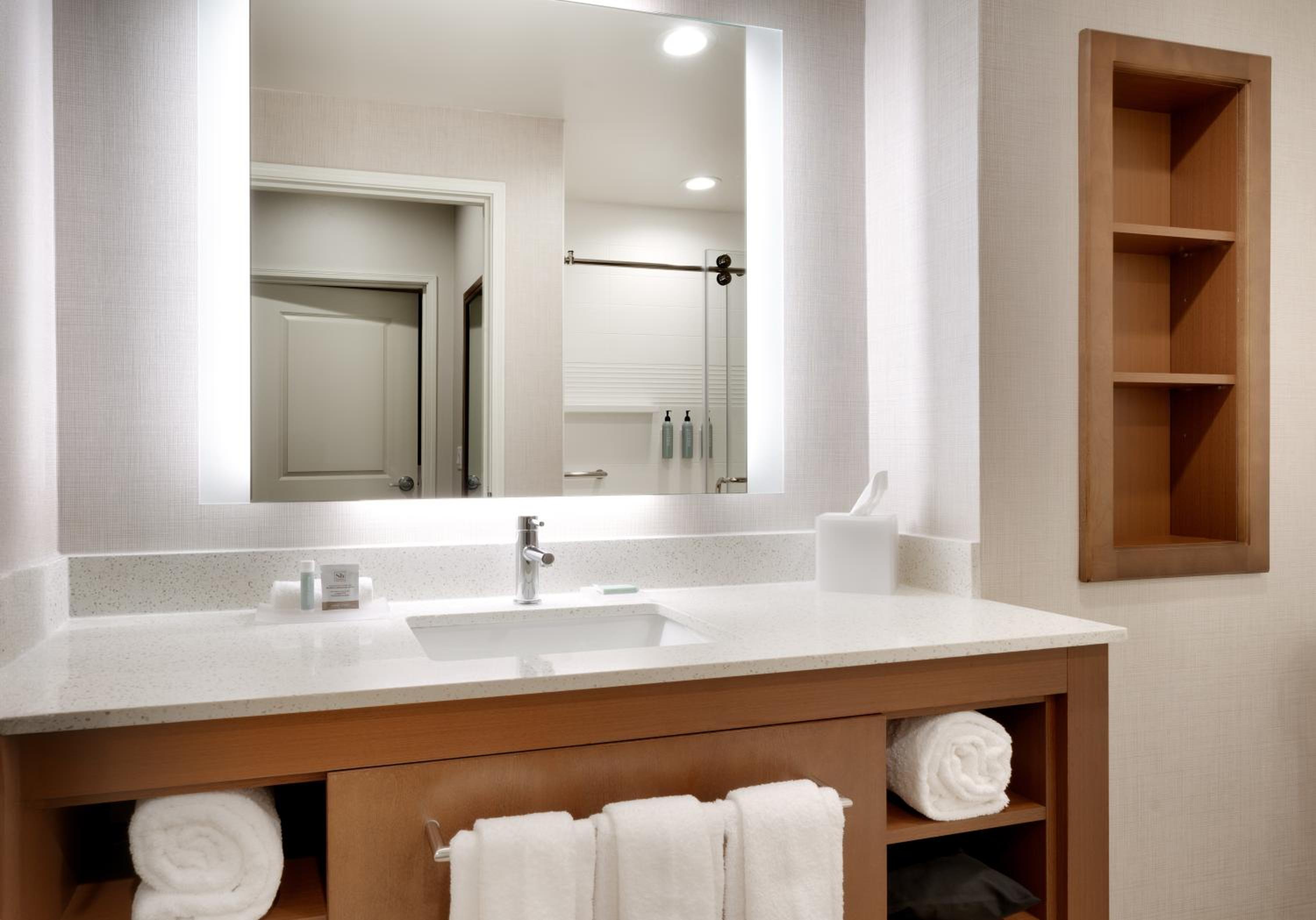 One-Bedroom Queen Suite with Sofa Bed  - Photo 4