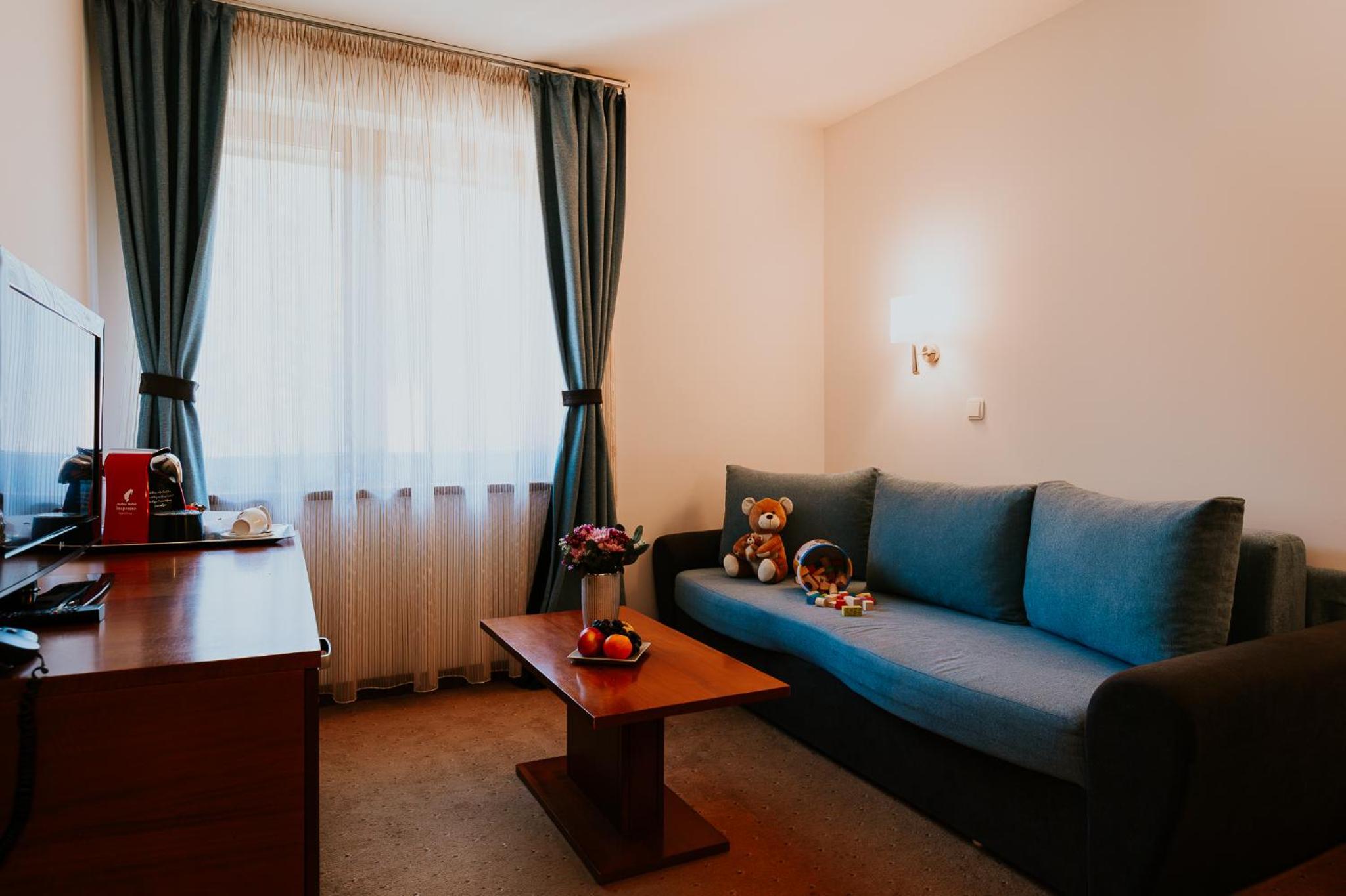 Suite with Spa Access photo 3
