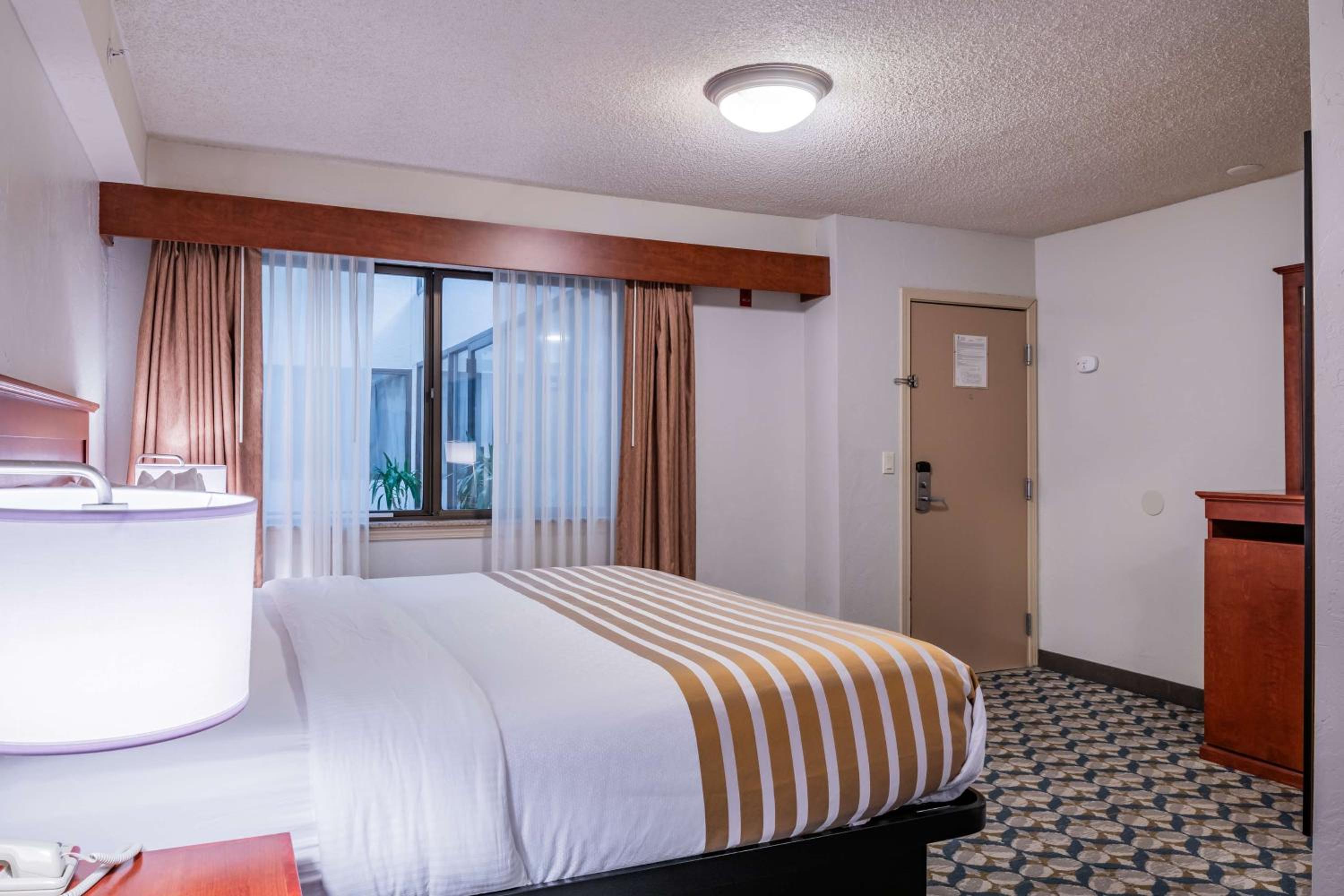 King Room - Non-Smoking photo 3