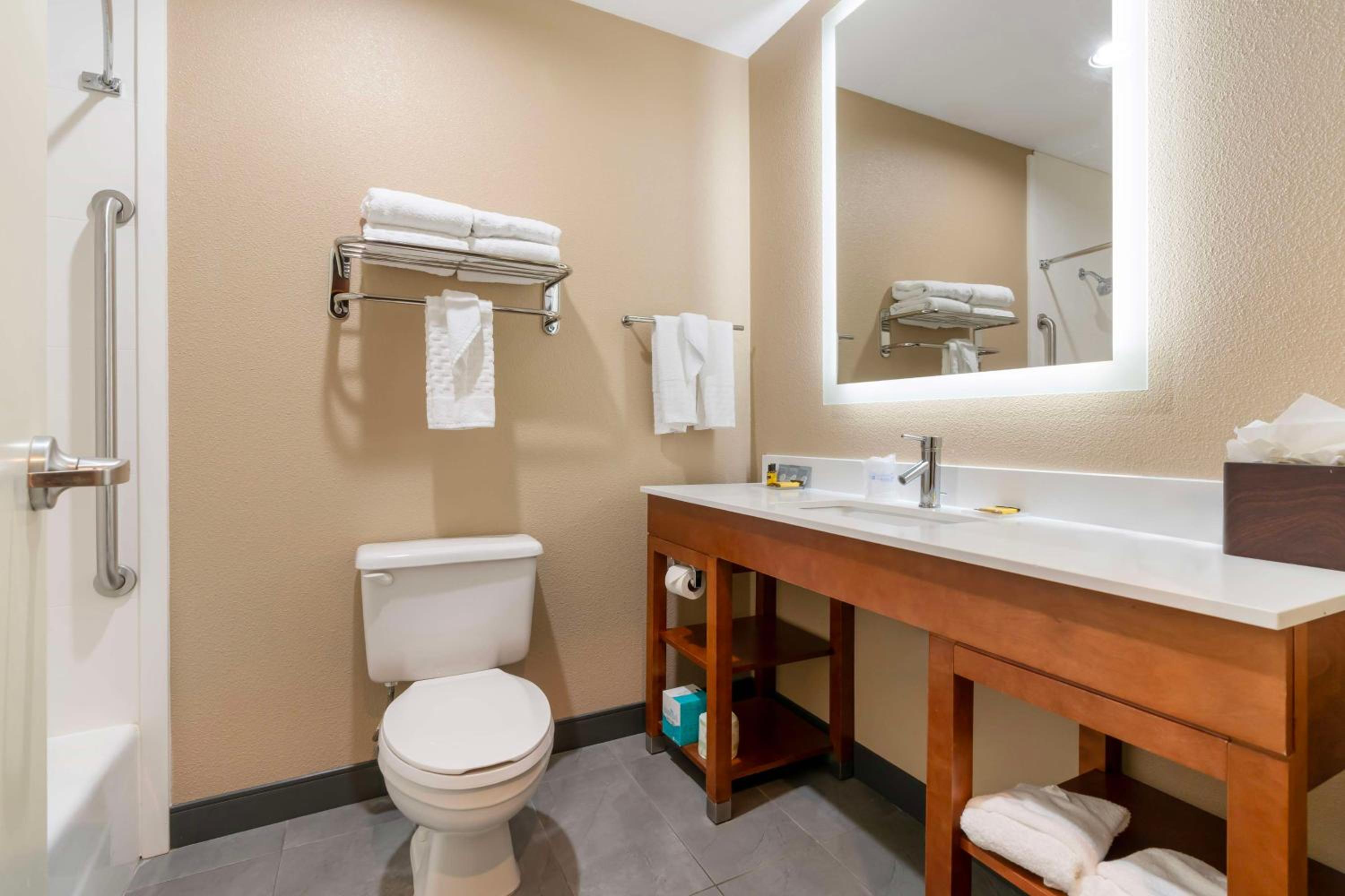 King Suite with Office - Photo 4