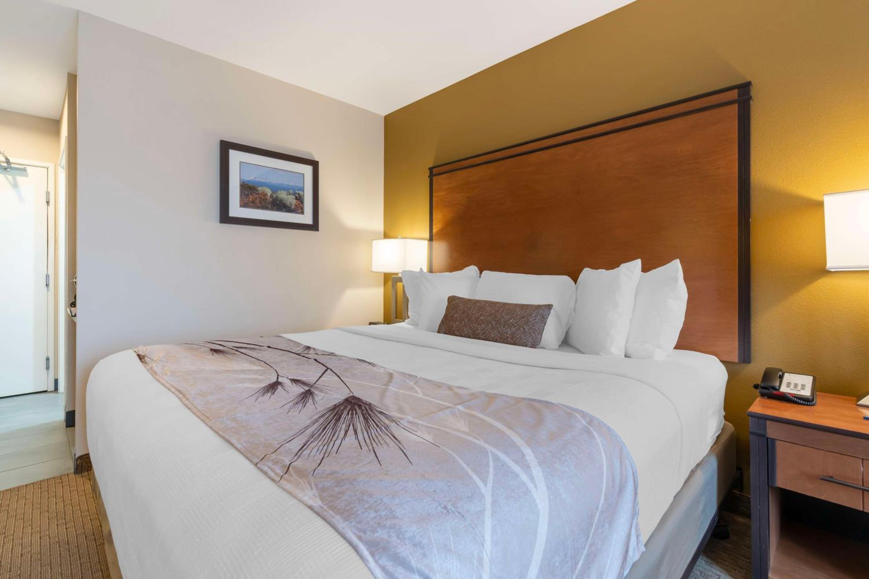 King Room - Photo 4