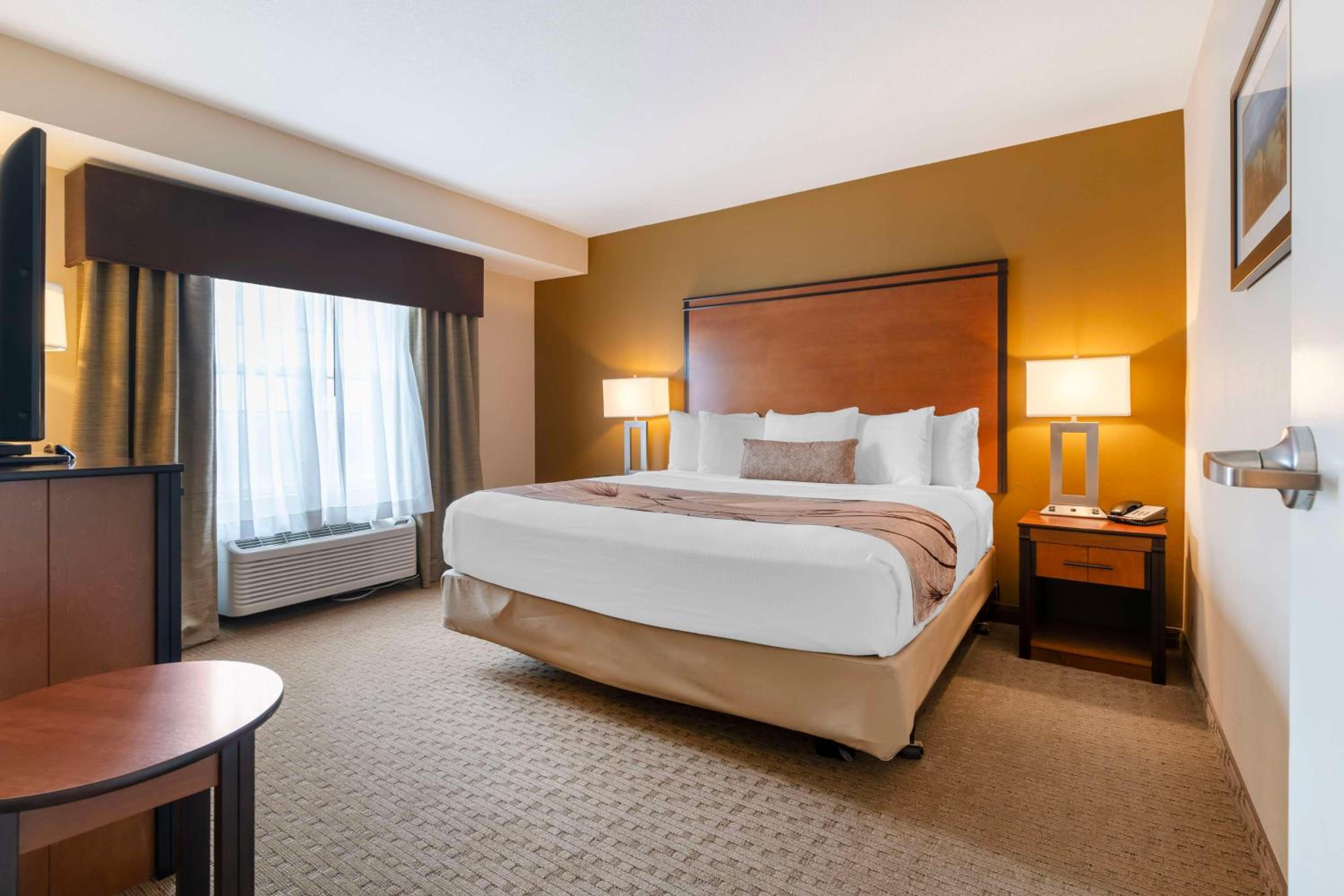 King Suite - Photo 1