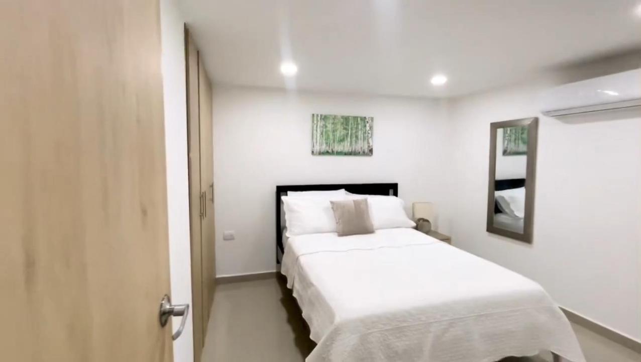One-Bedroom Apartment photo 3