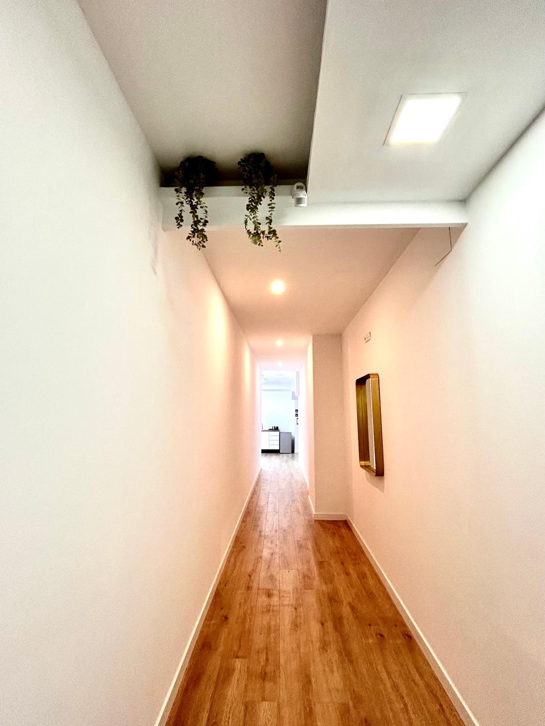 Estudio estándar