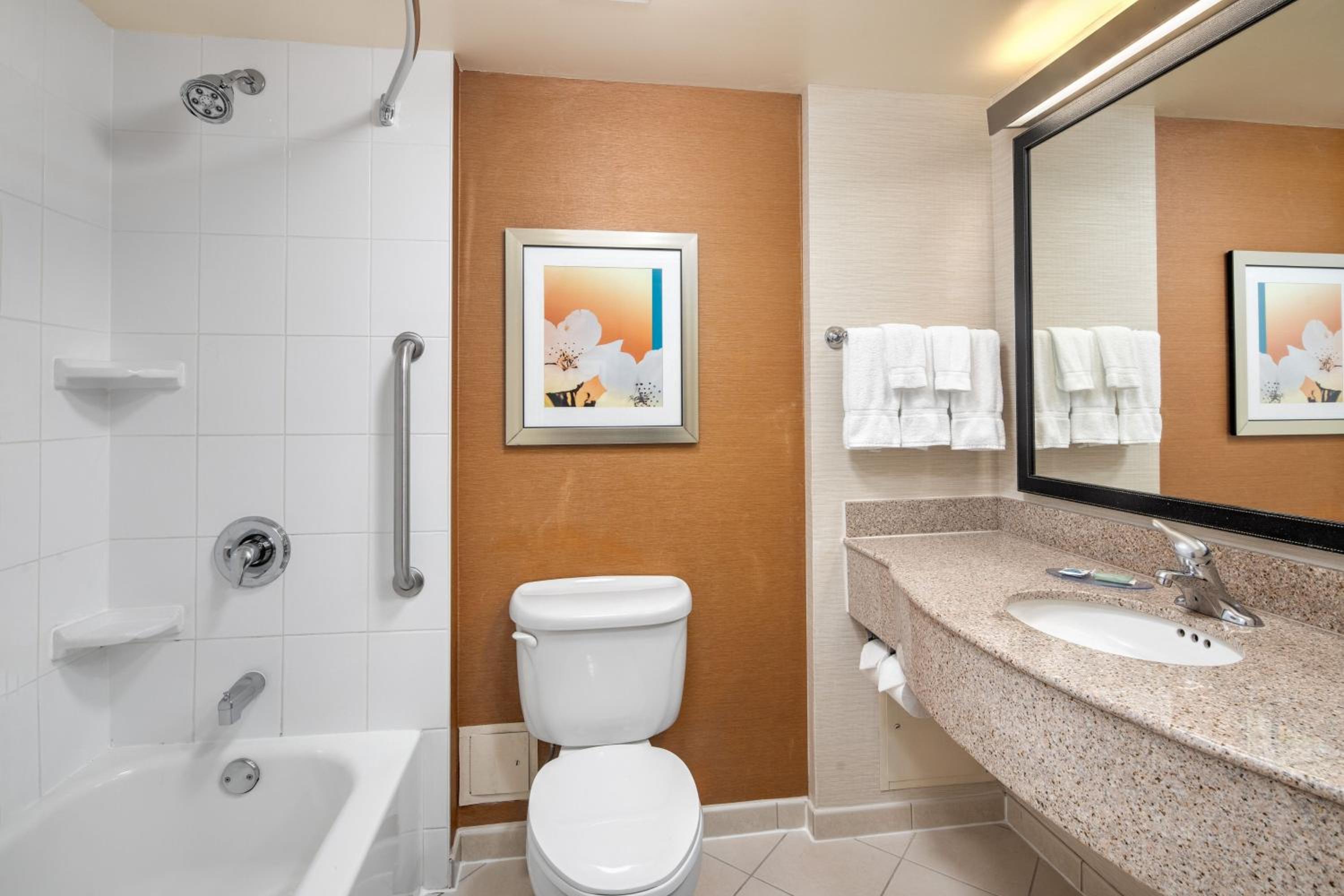 King Room with Bathtub, Roll-In Shower and Sofa Bed - Mobility Access/Hearing Accessible