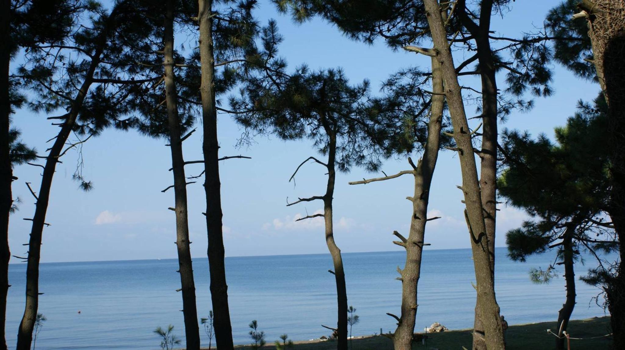 Triple Room with Sea View photo 2