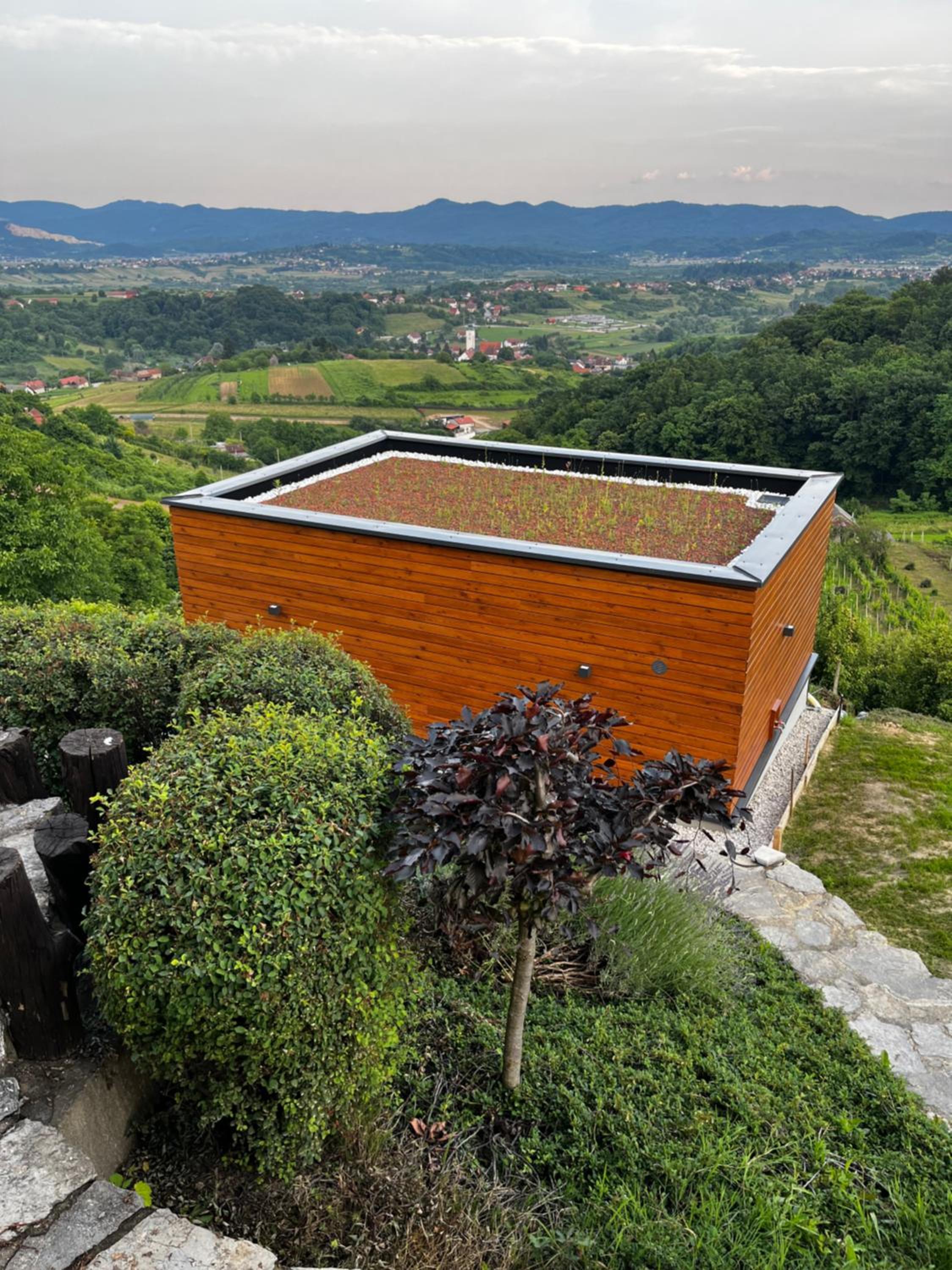Superior Apartment with Sauna photo 2
