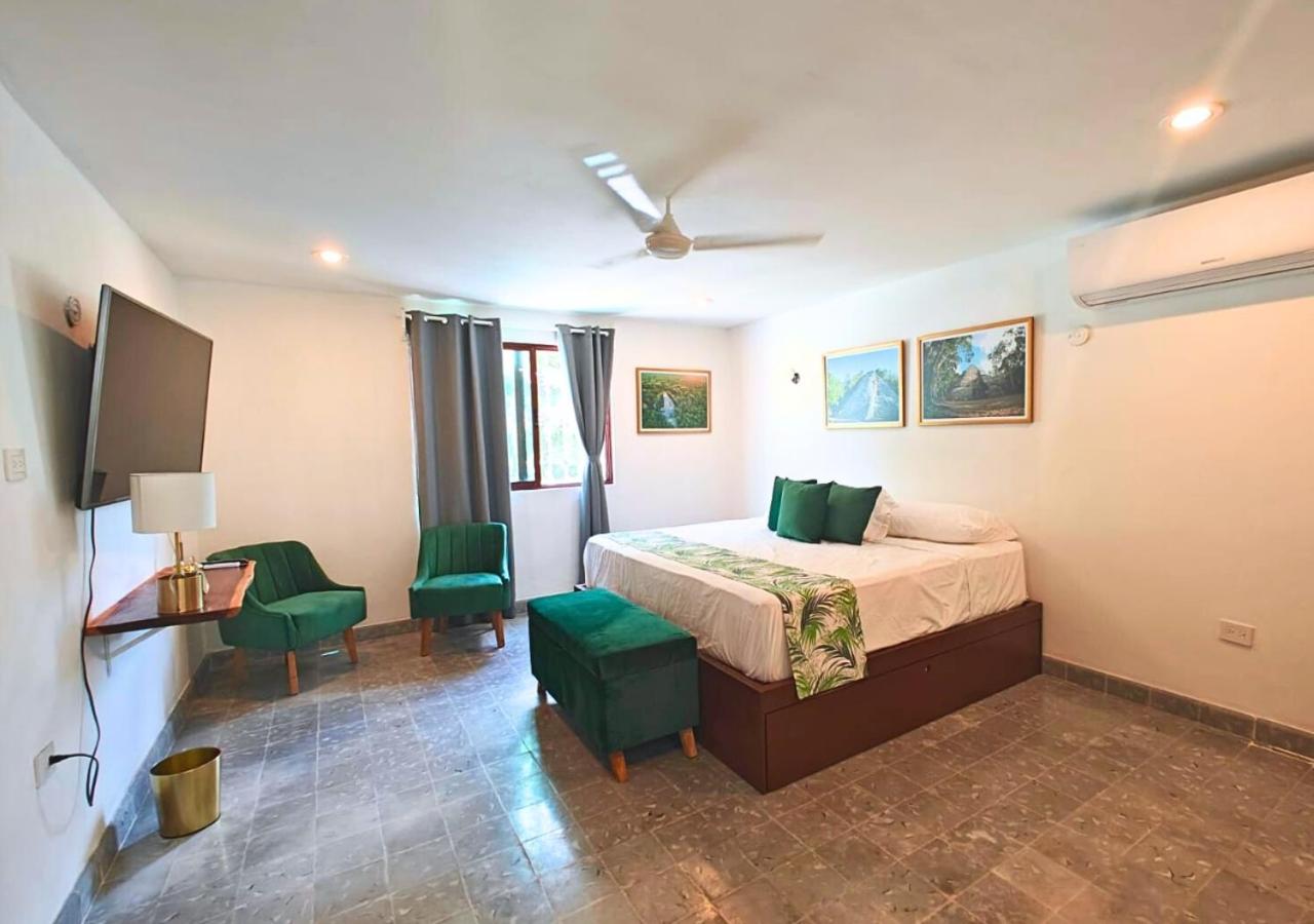 Deluxe Twin Room photo 1