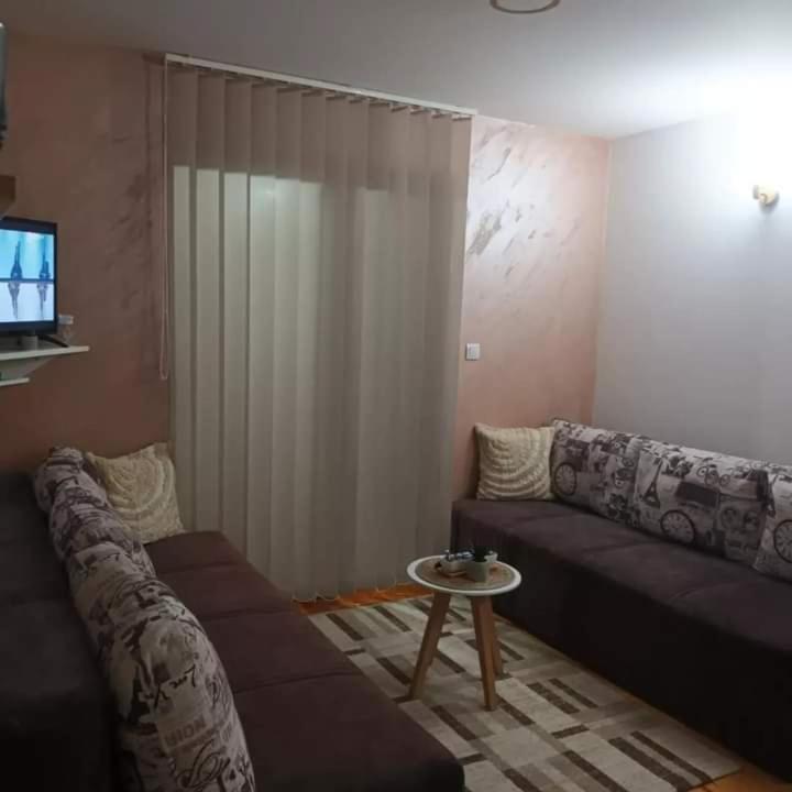Studio with Terrace photo 3