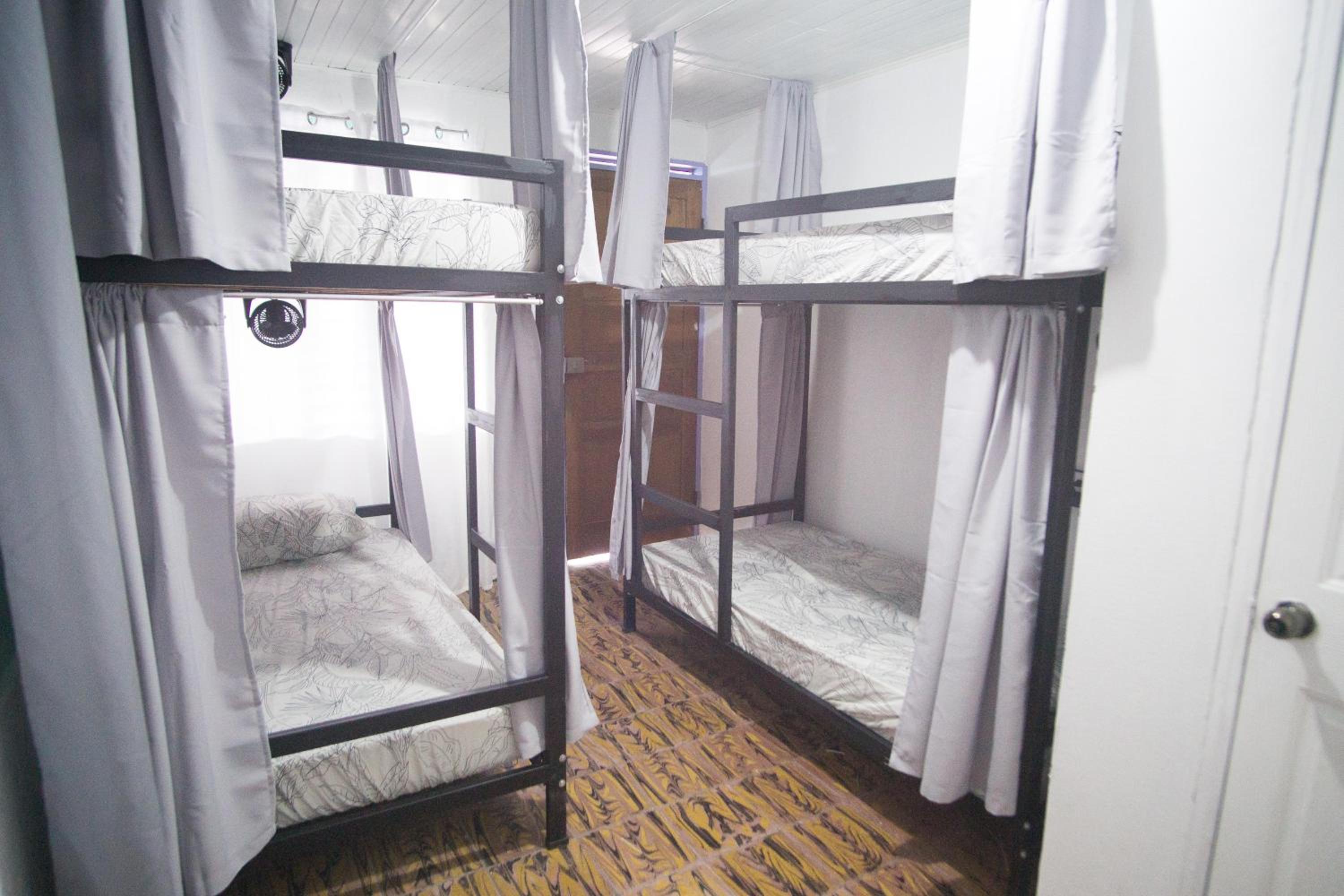 Bed in 4-Bed Female Dormitory Room photo 1