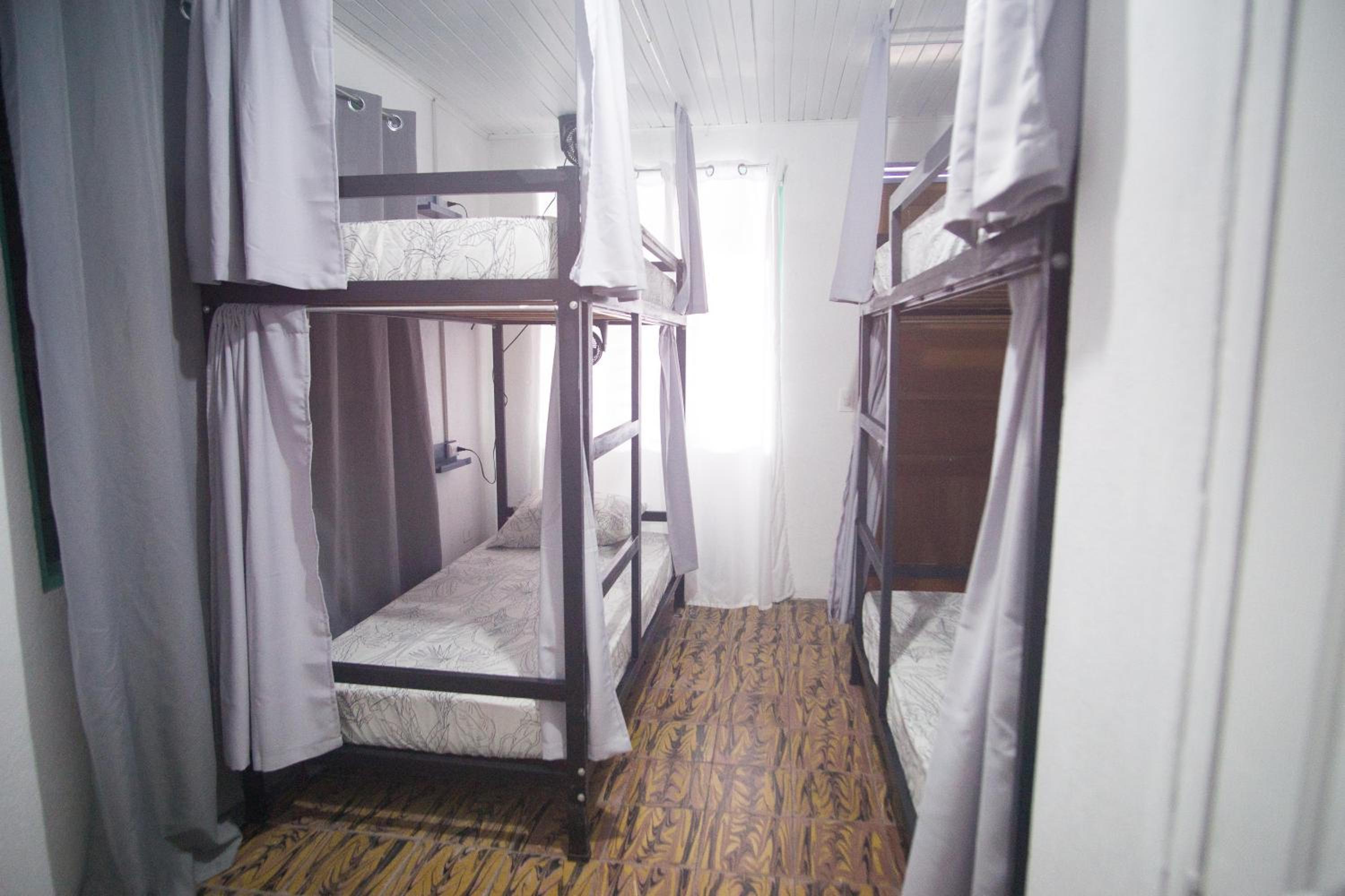 Bed in 4-Bed Female Dormitory Room photo 2