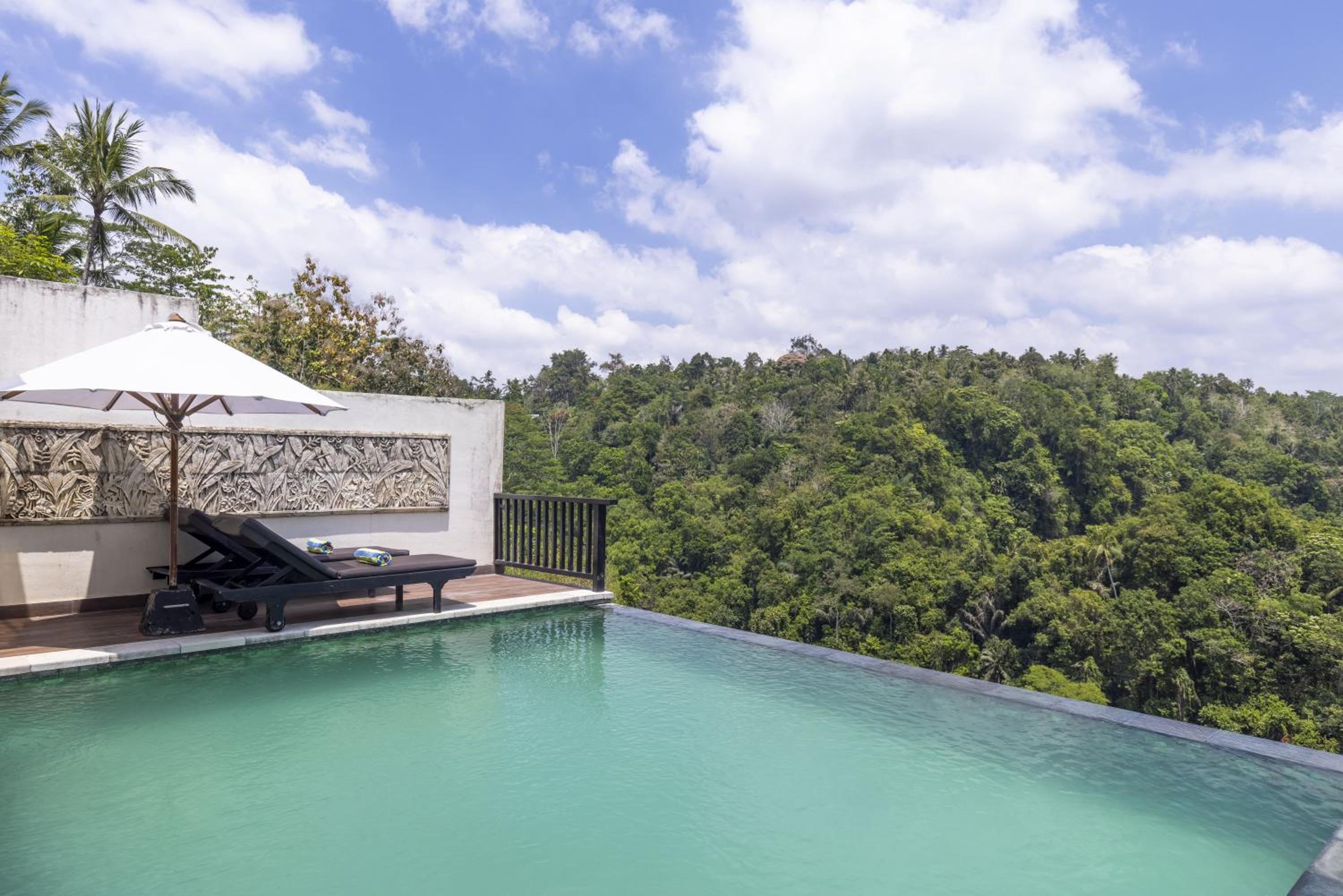 One-Bedroom Villa with Private Pool - Photo 2