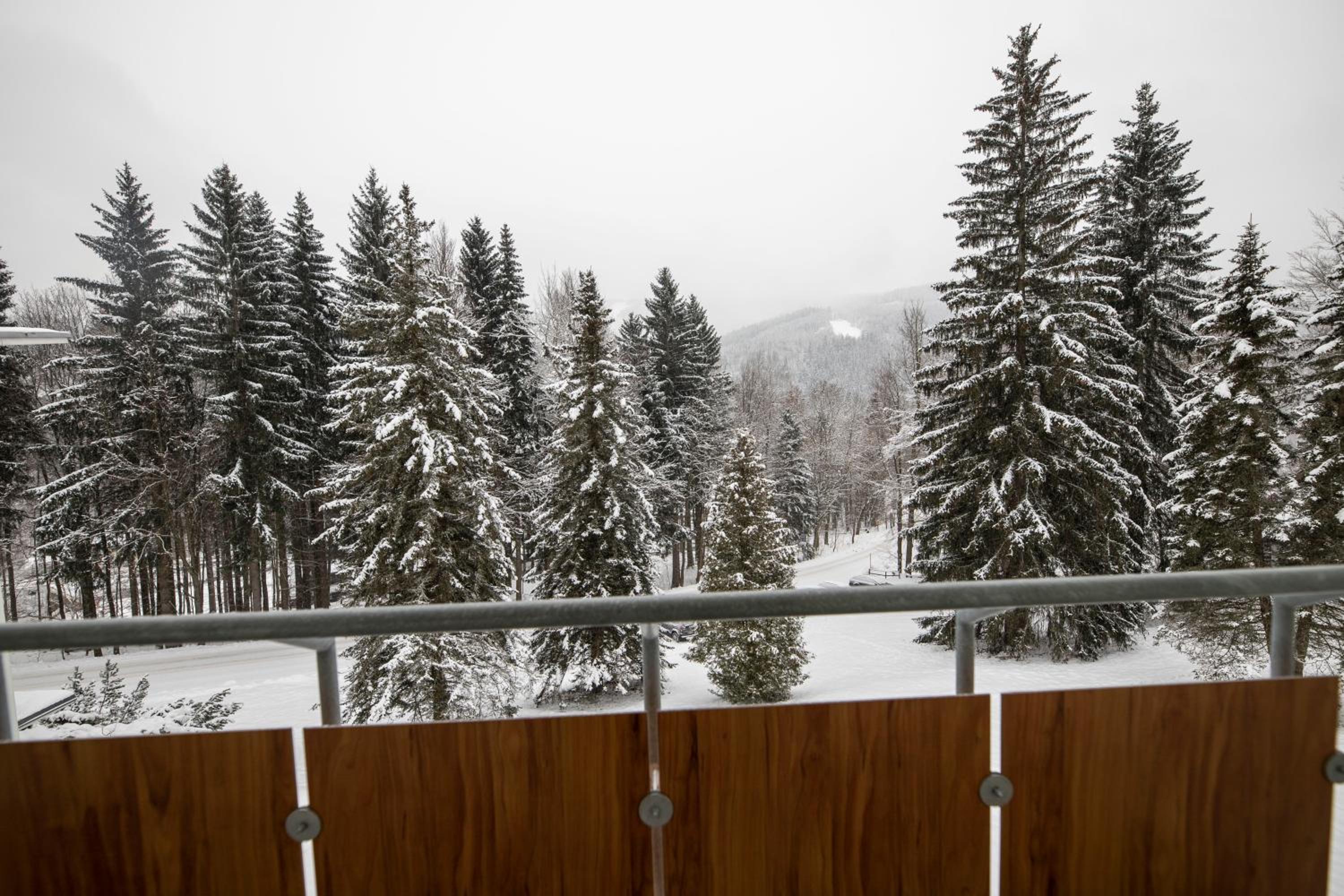 Single Room with Balcony photo 2