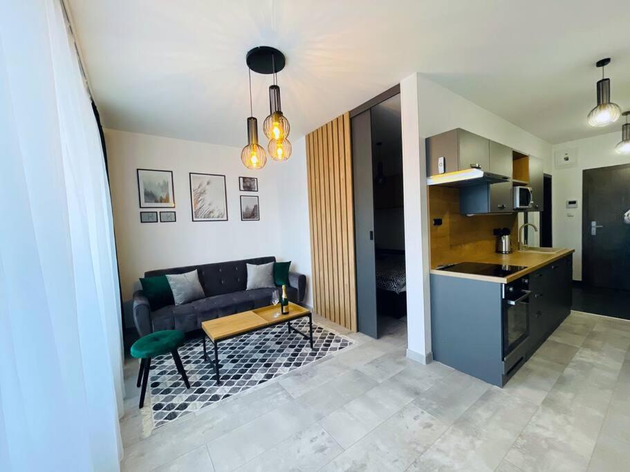 One-Bedroom Apartment photo 3