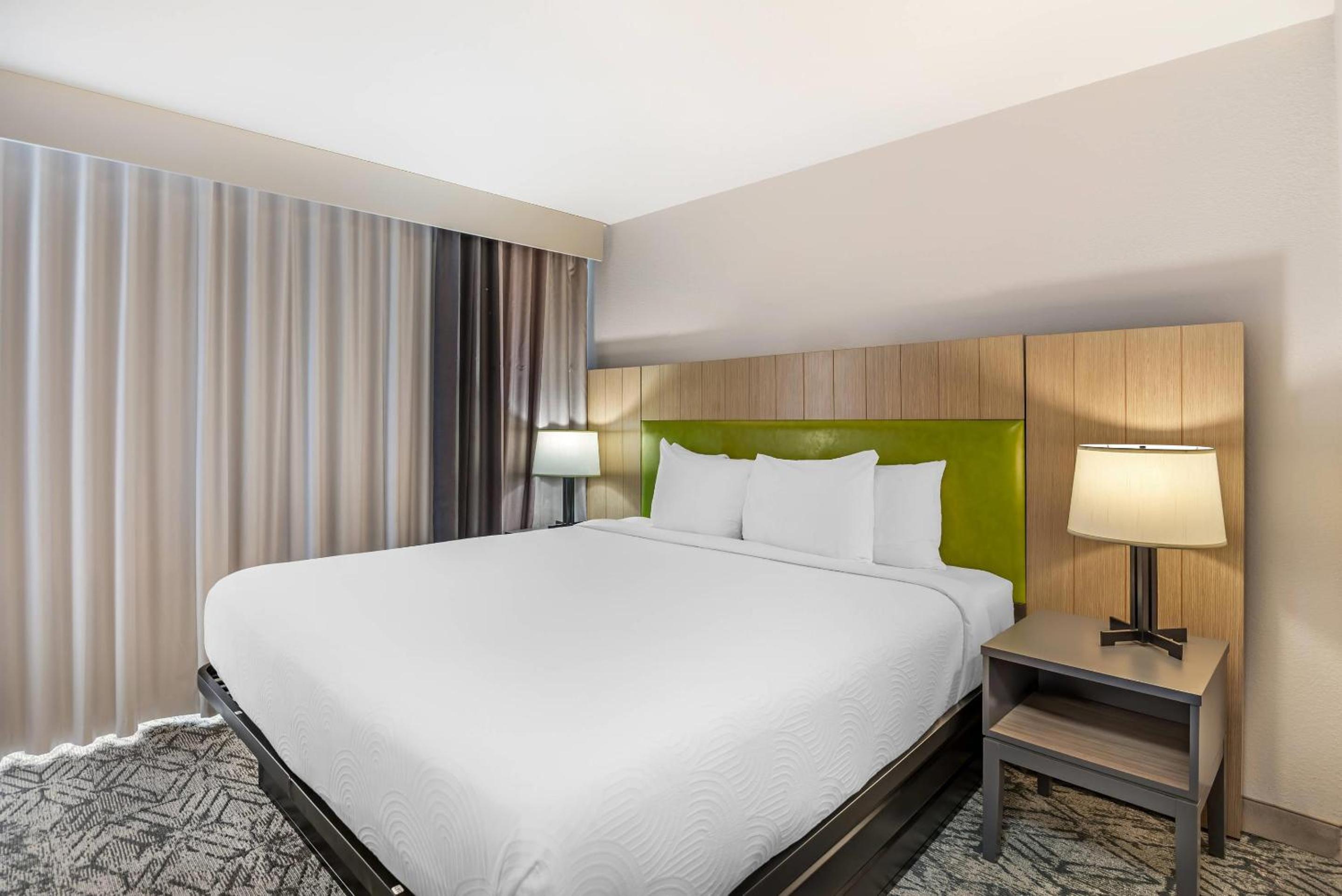One-Bedroom King Suite - Non-Smoking