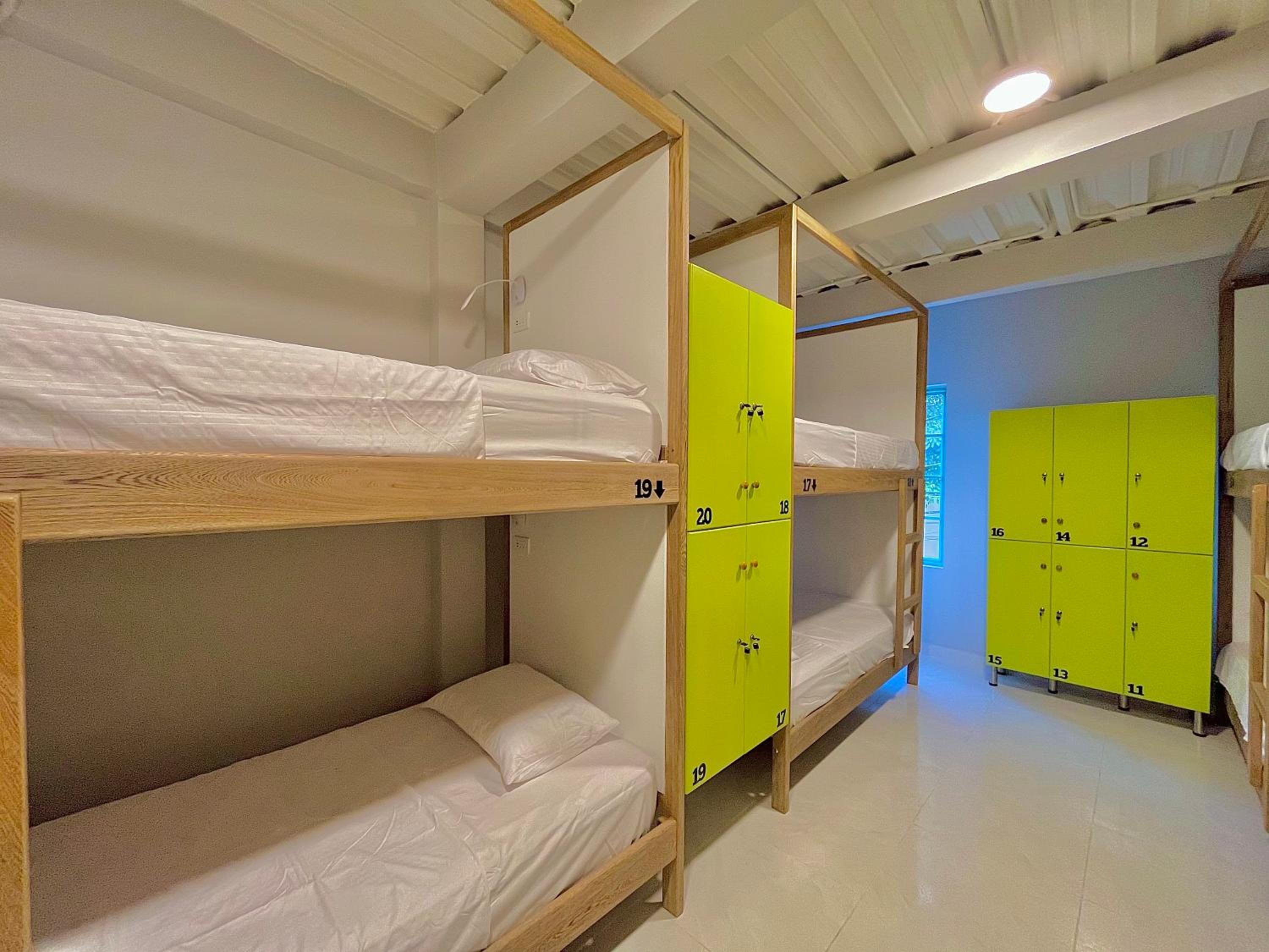 Single Bed in 10-Bed Dormitory Room