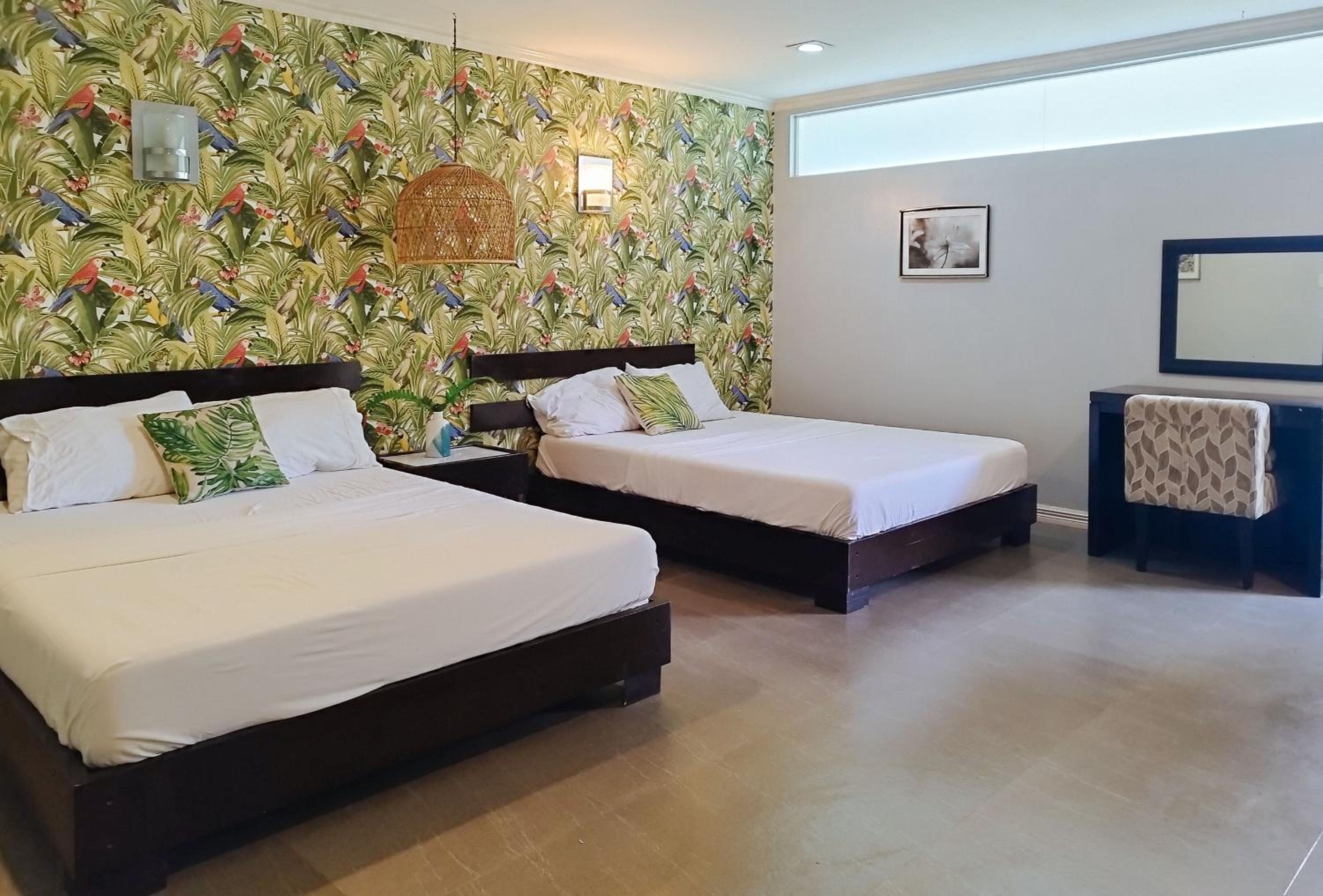 Deluxe Room photo 2