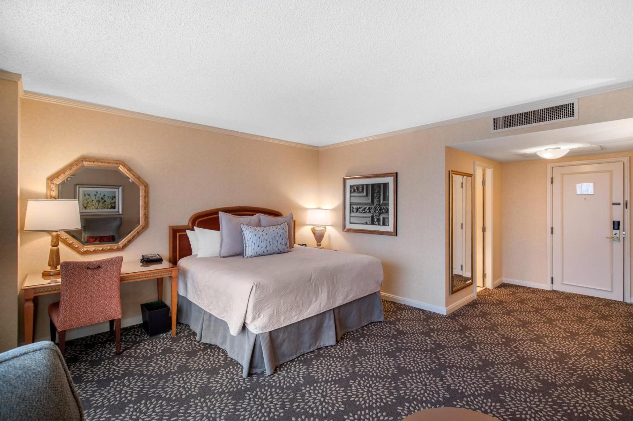Deluxe King Room - Photo 18