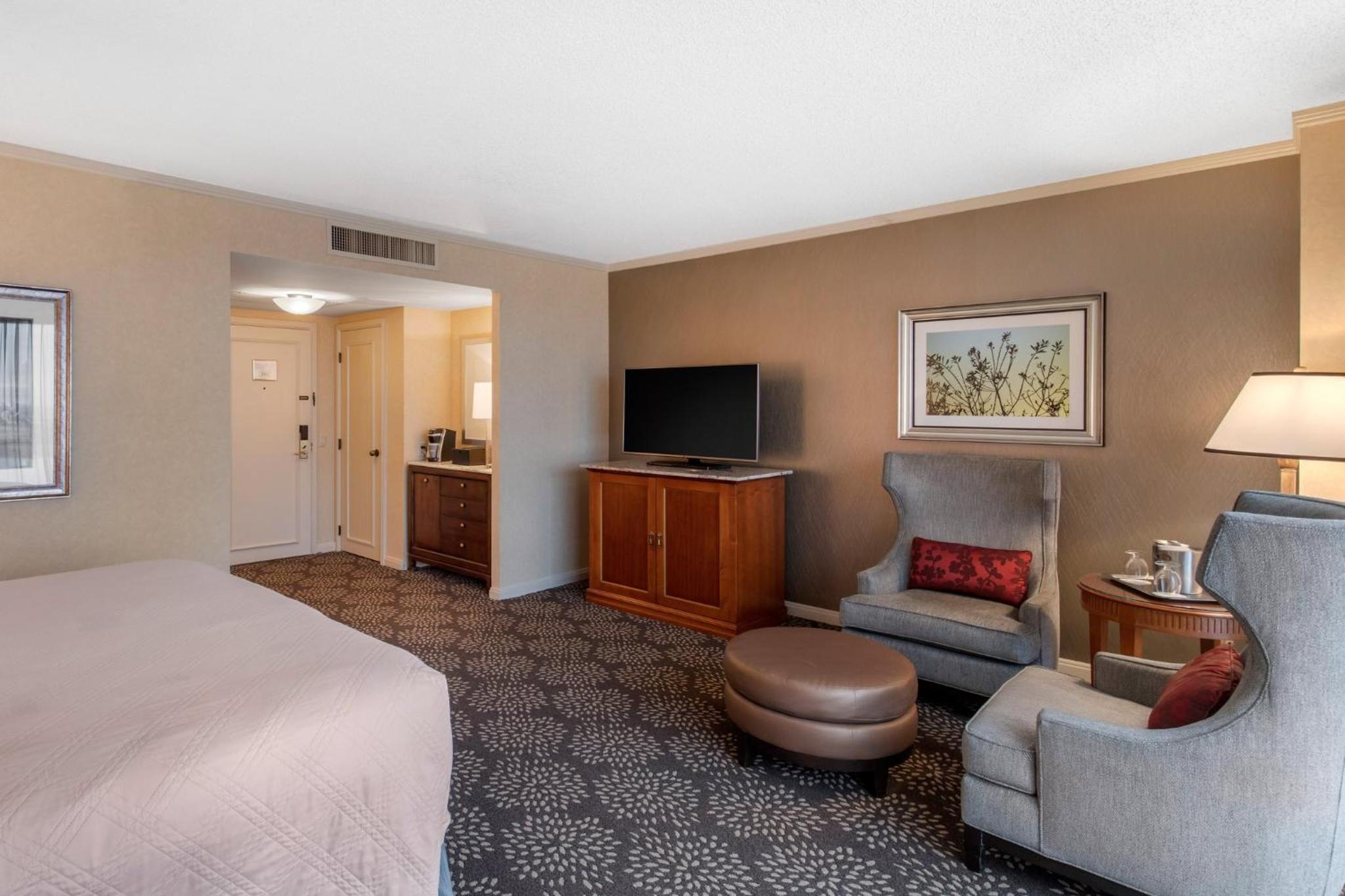 Deluxe King Room - Photo 16
