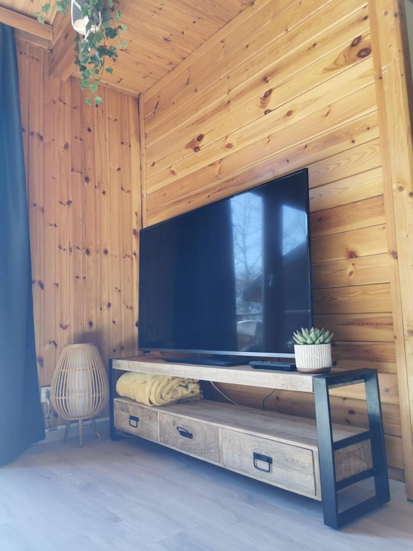 Three-Bedroom Chalet photo 1