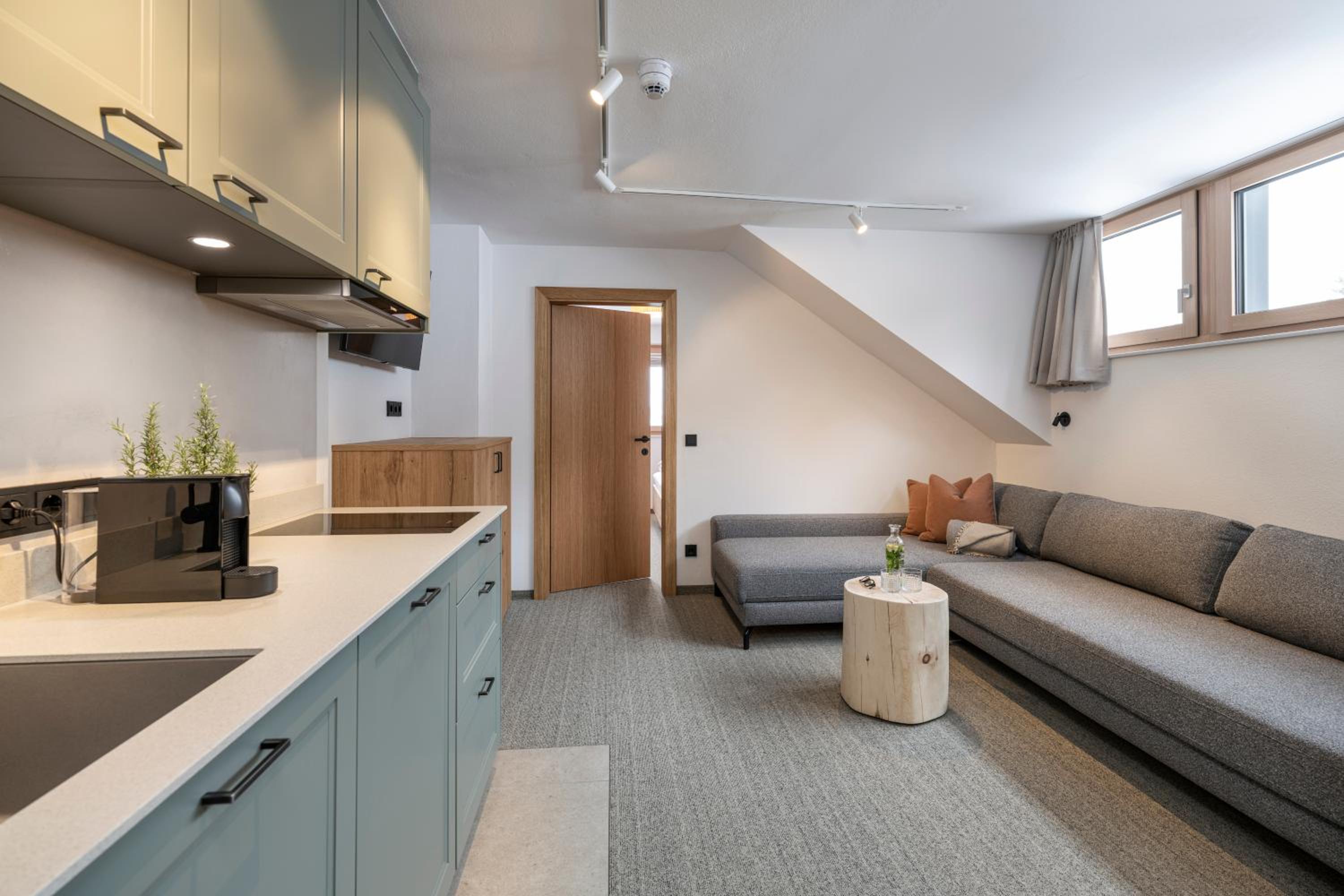 One-Bedroom Apartment with View