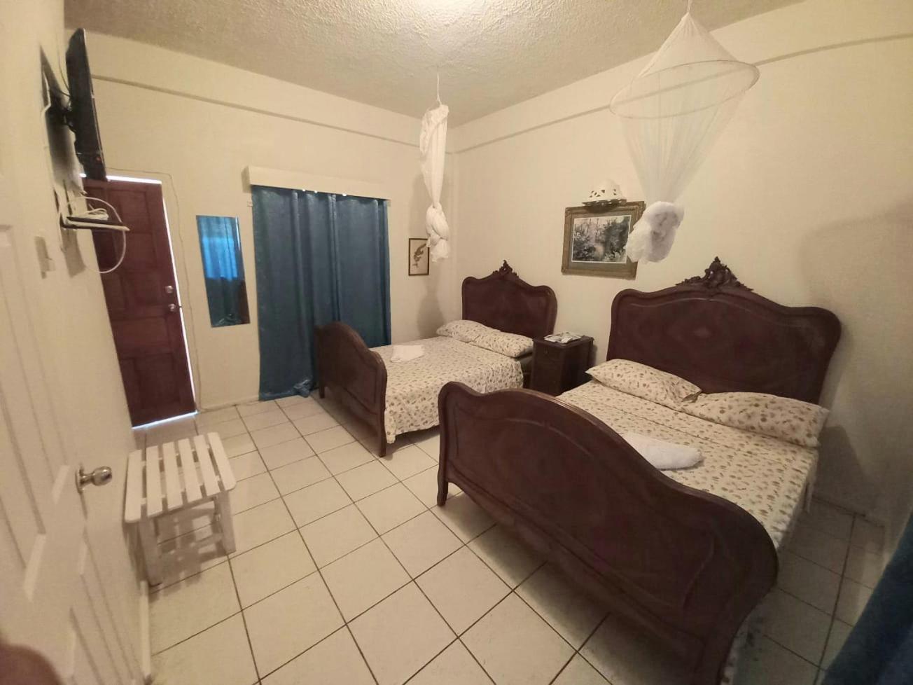 Double Room with Garden View photo 1