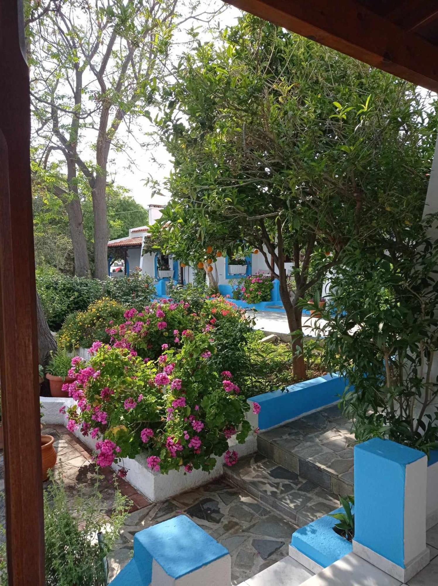 Superior Apartment with Balcony photo 2
