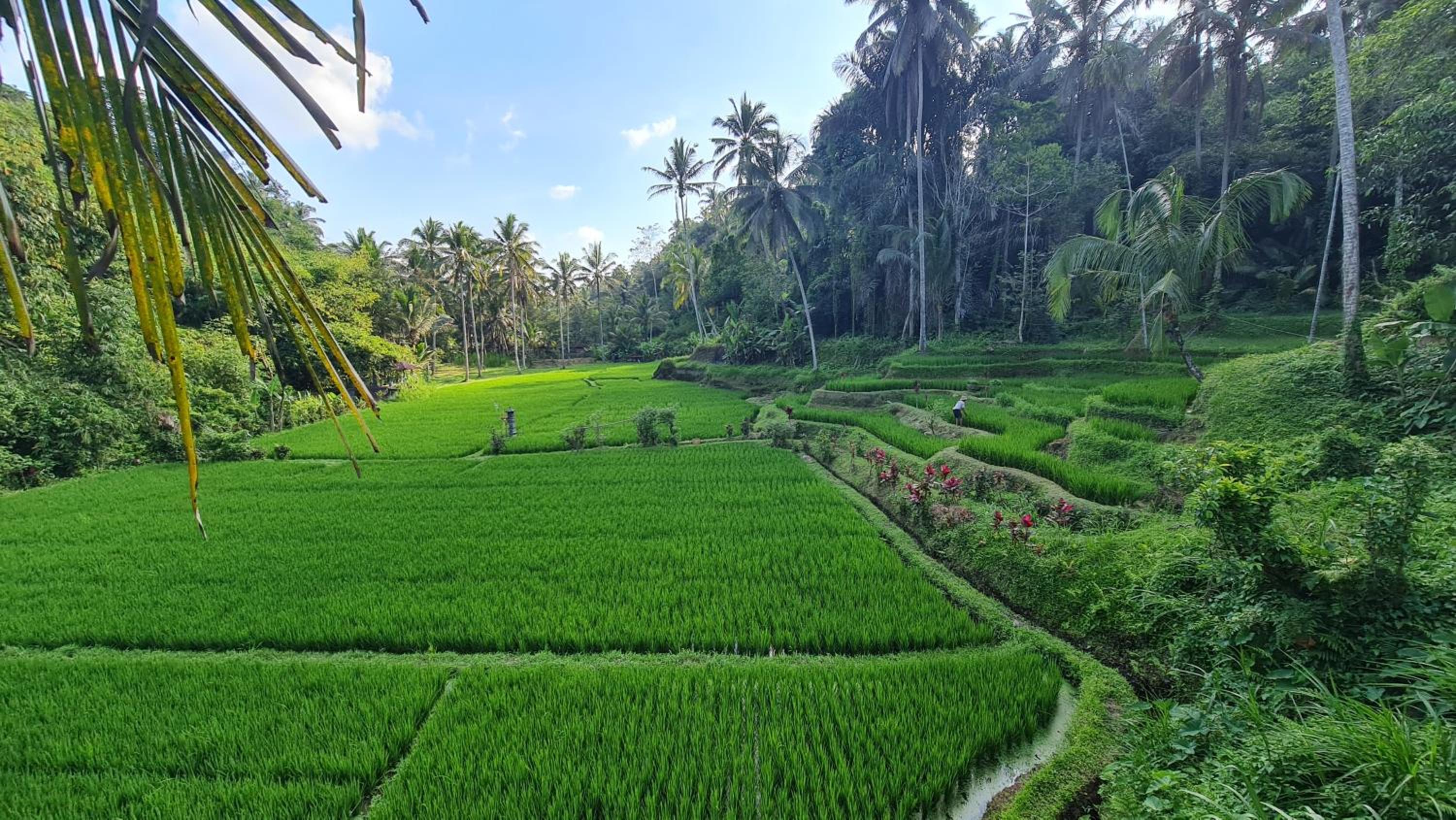One Bedroom Villa Garden View - Photo 4