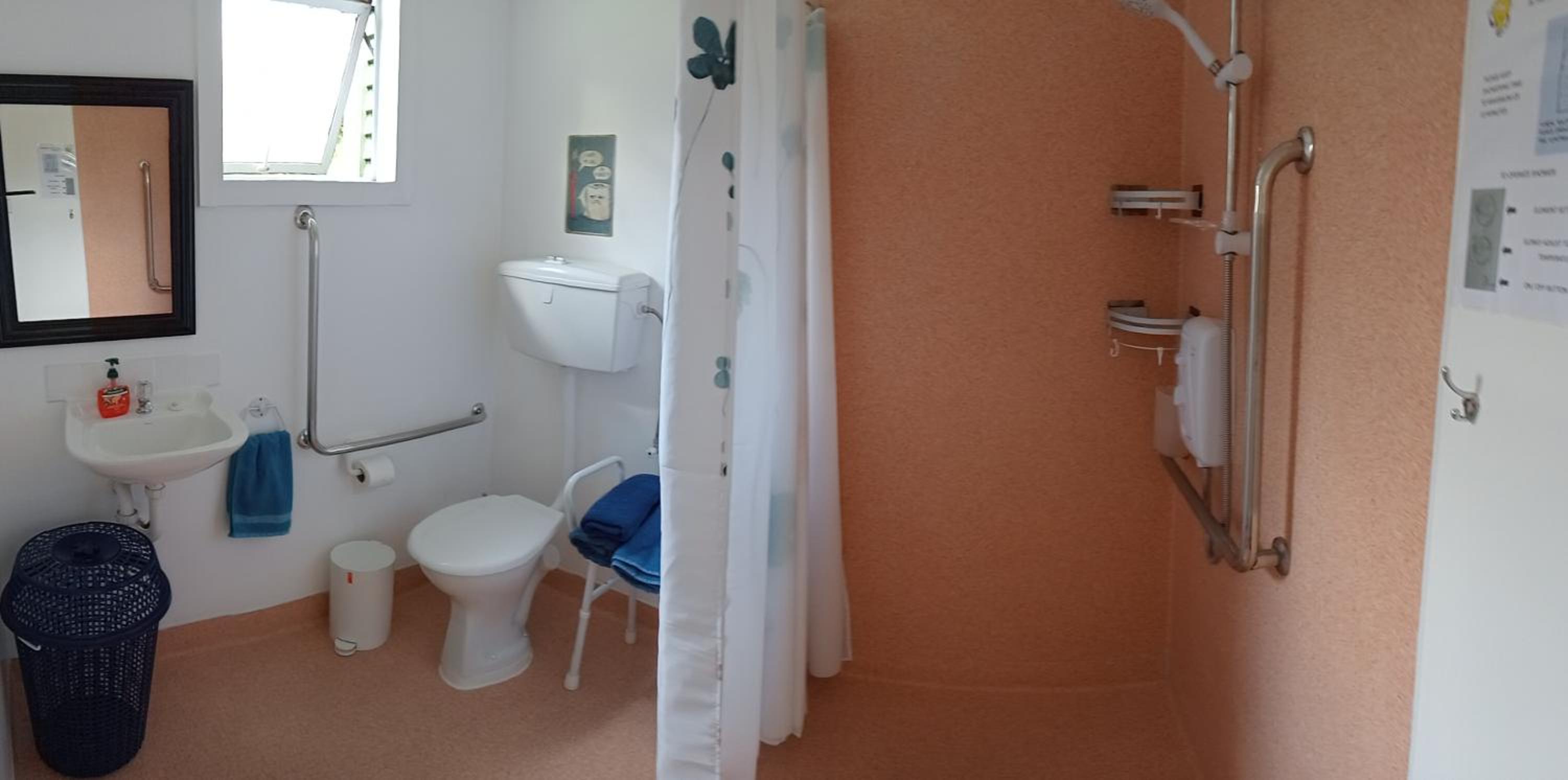 Family Room with Shower photo 2