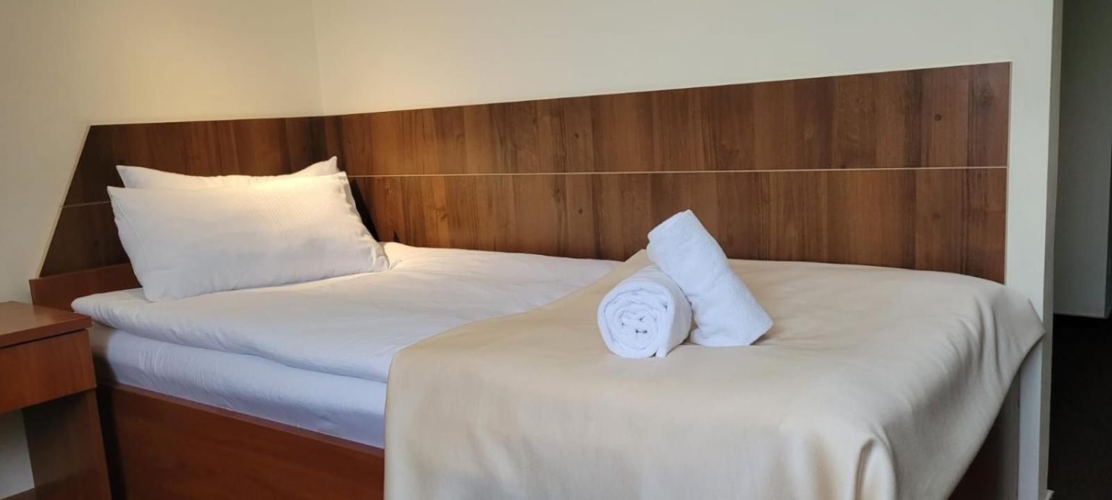 Single Room photo 1