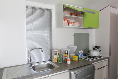 Mobile Home photo 1