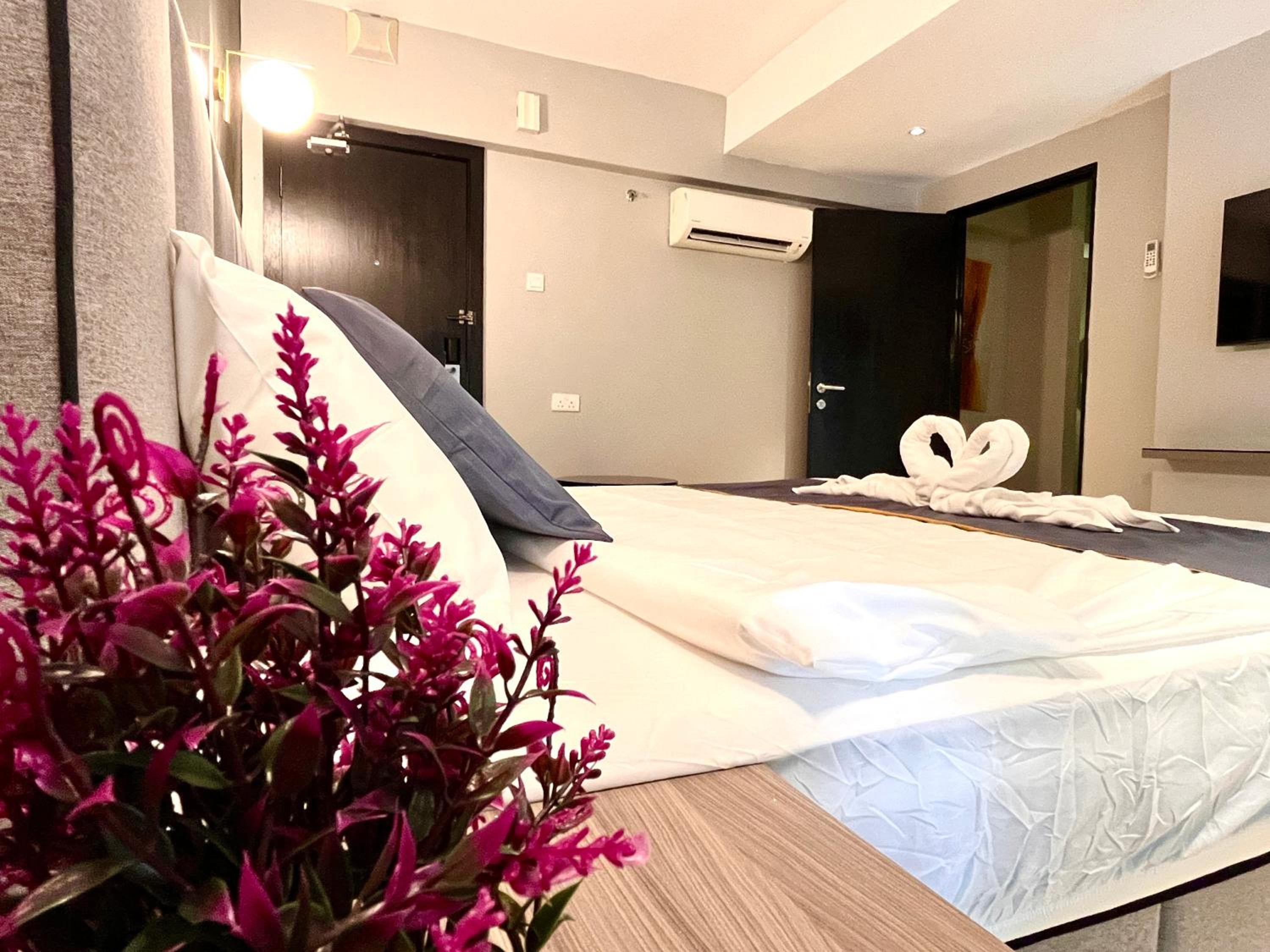 Duplex Suite